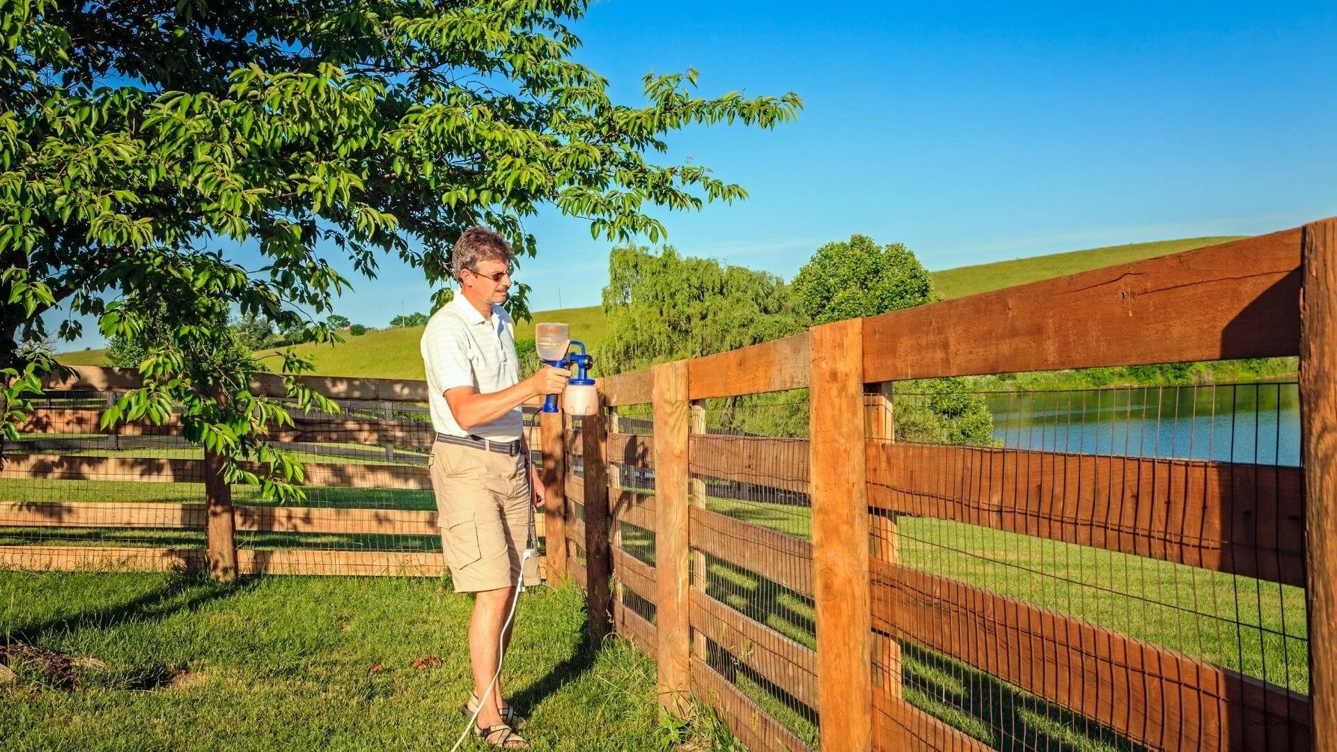 staining your fence