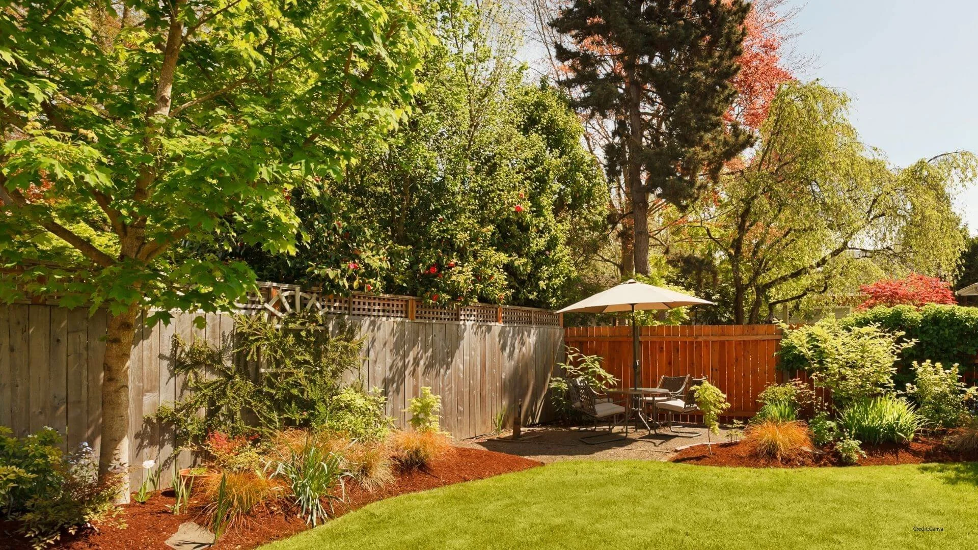 fence staining