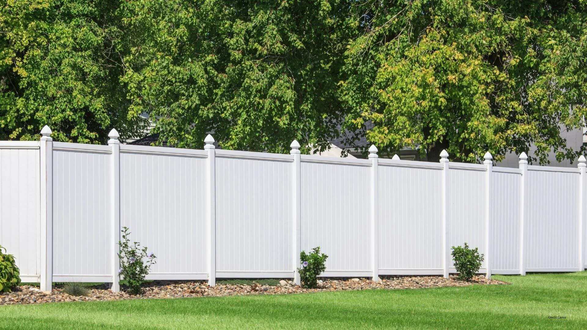 how to stain a fence the right way