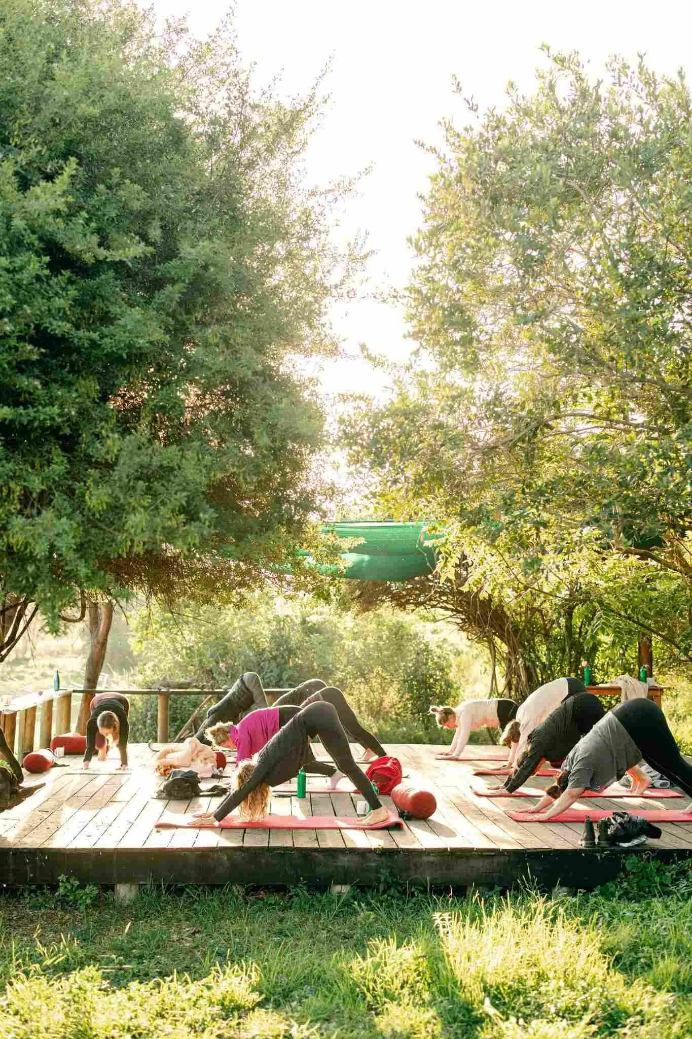 People practicing yoga outdoors on a wooden deck surrounded by trees and greenery, with sunlight filtering through the leaves.