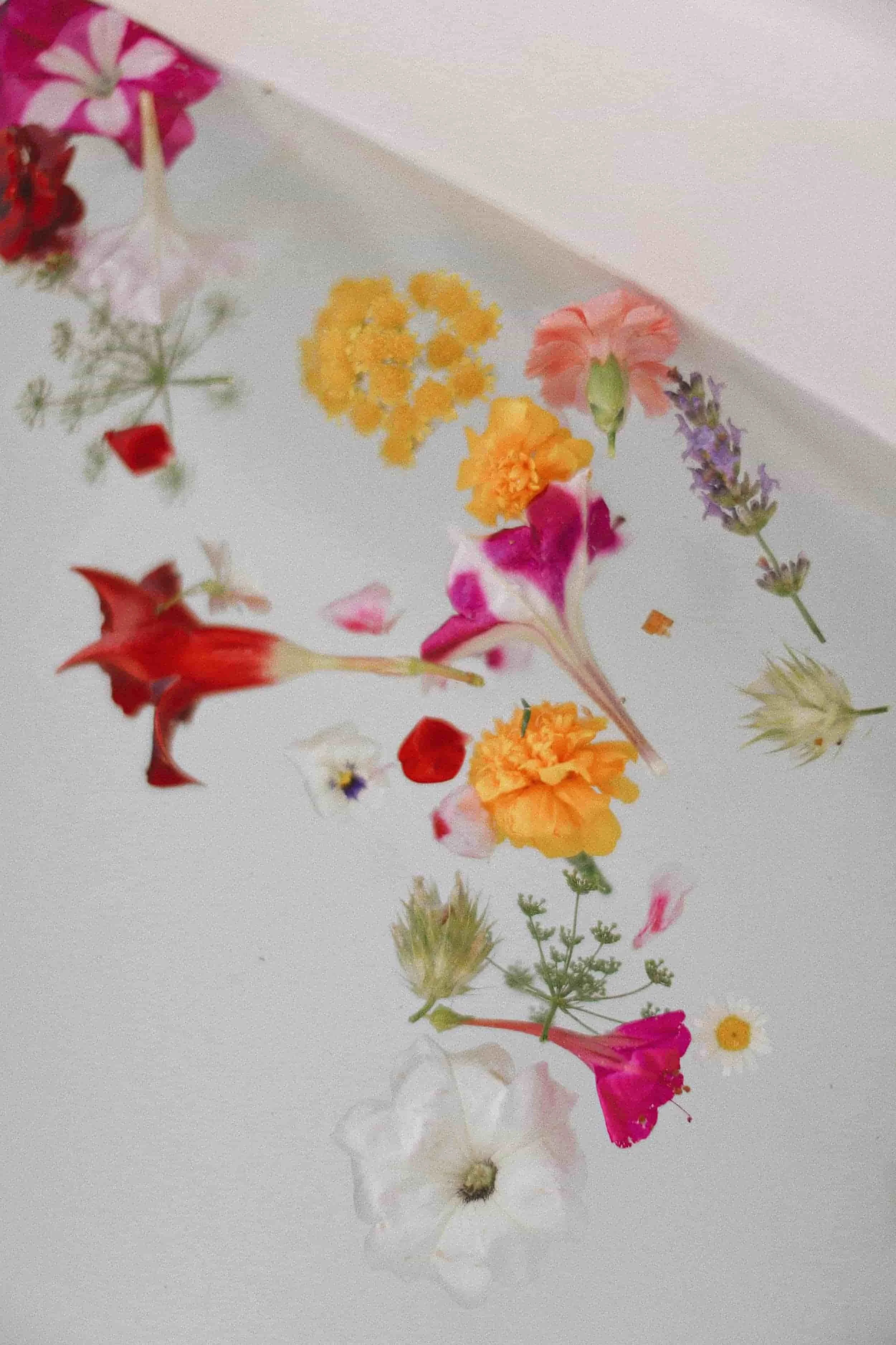 Various colorful flowers scattered on a white surface.