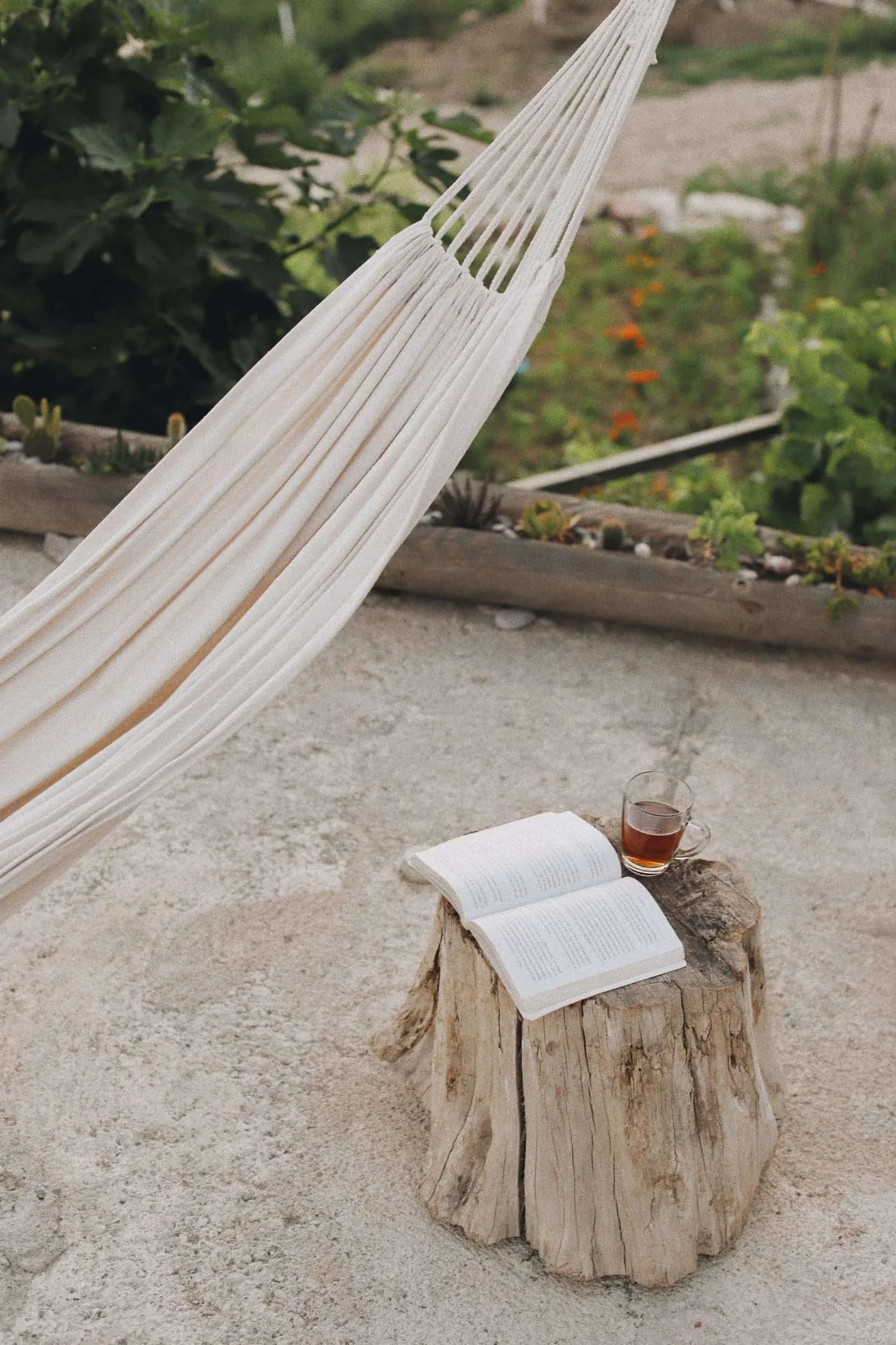A hammock, an open book, and a glass mug of tea resting on a tree stump in an outdoor garden setting.