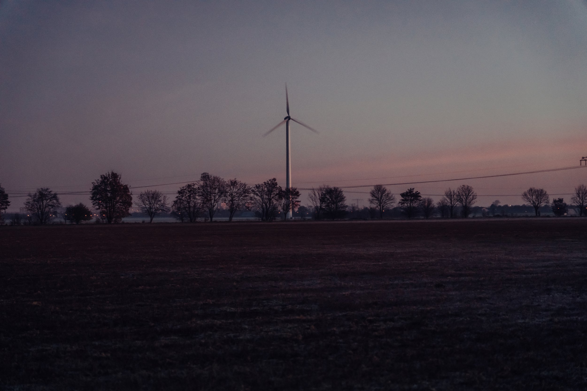 BER08110-2.jpeg