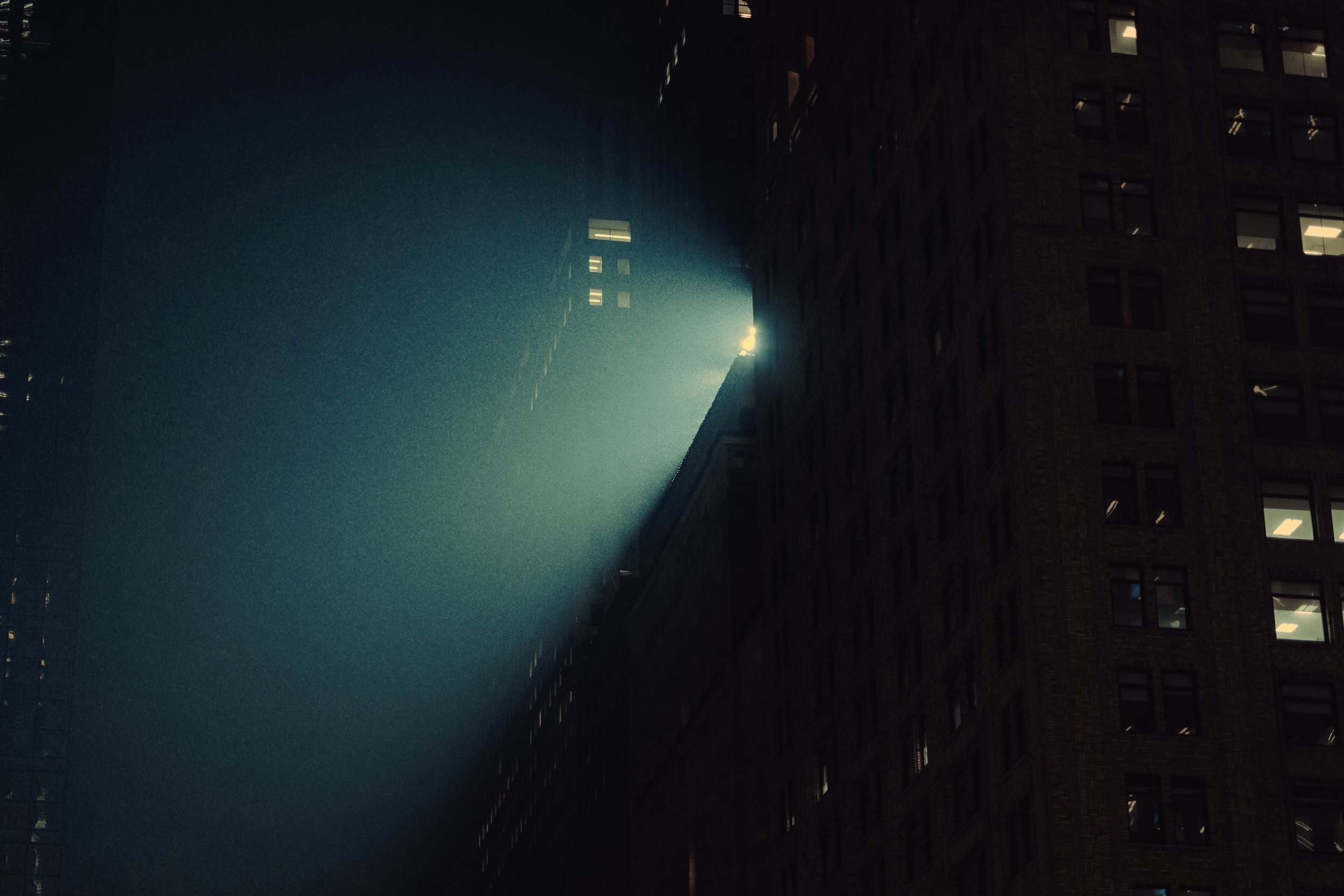 NYC08316_preview.jpg