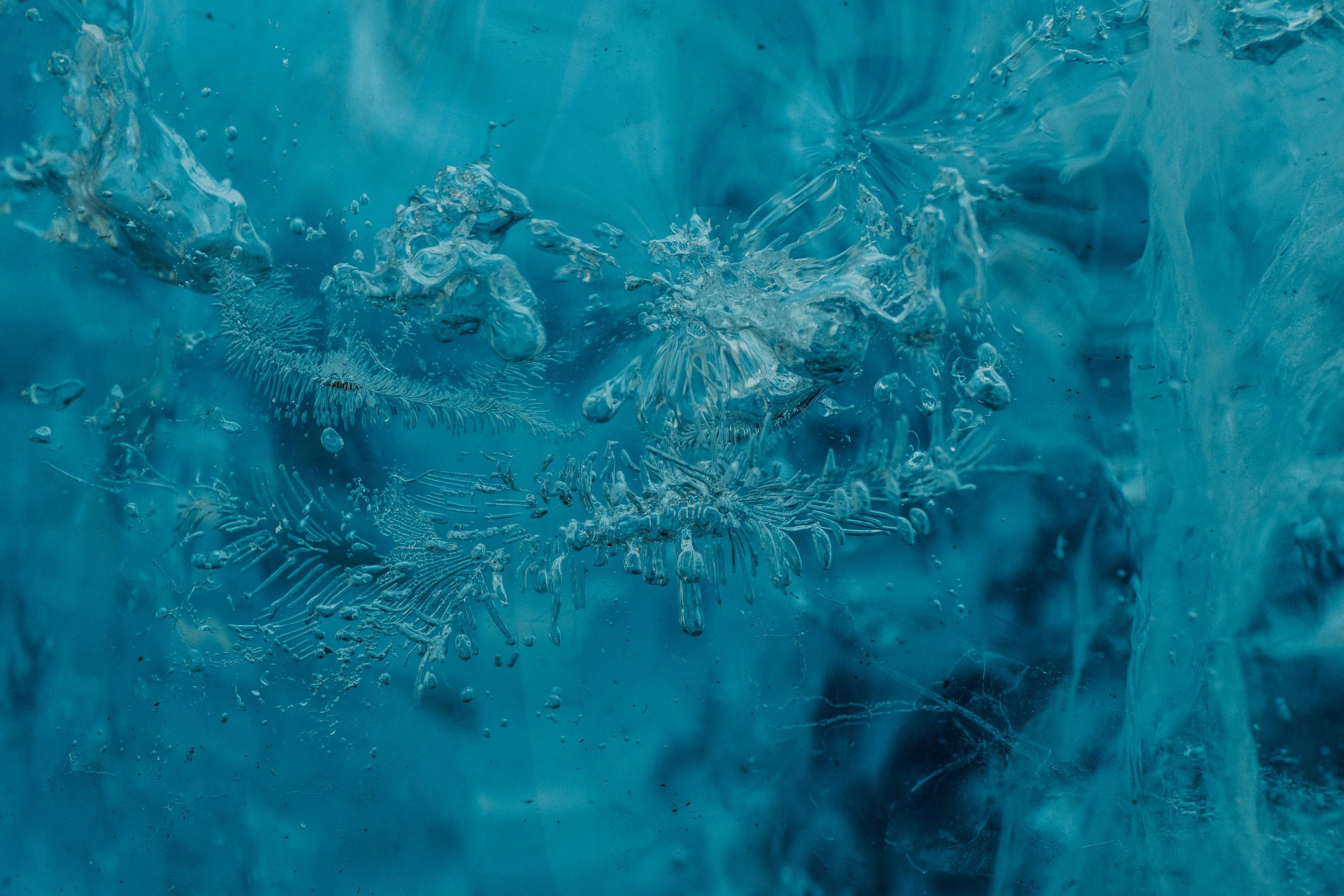 ISL01963_compressed.jpg