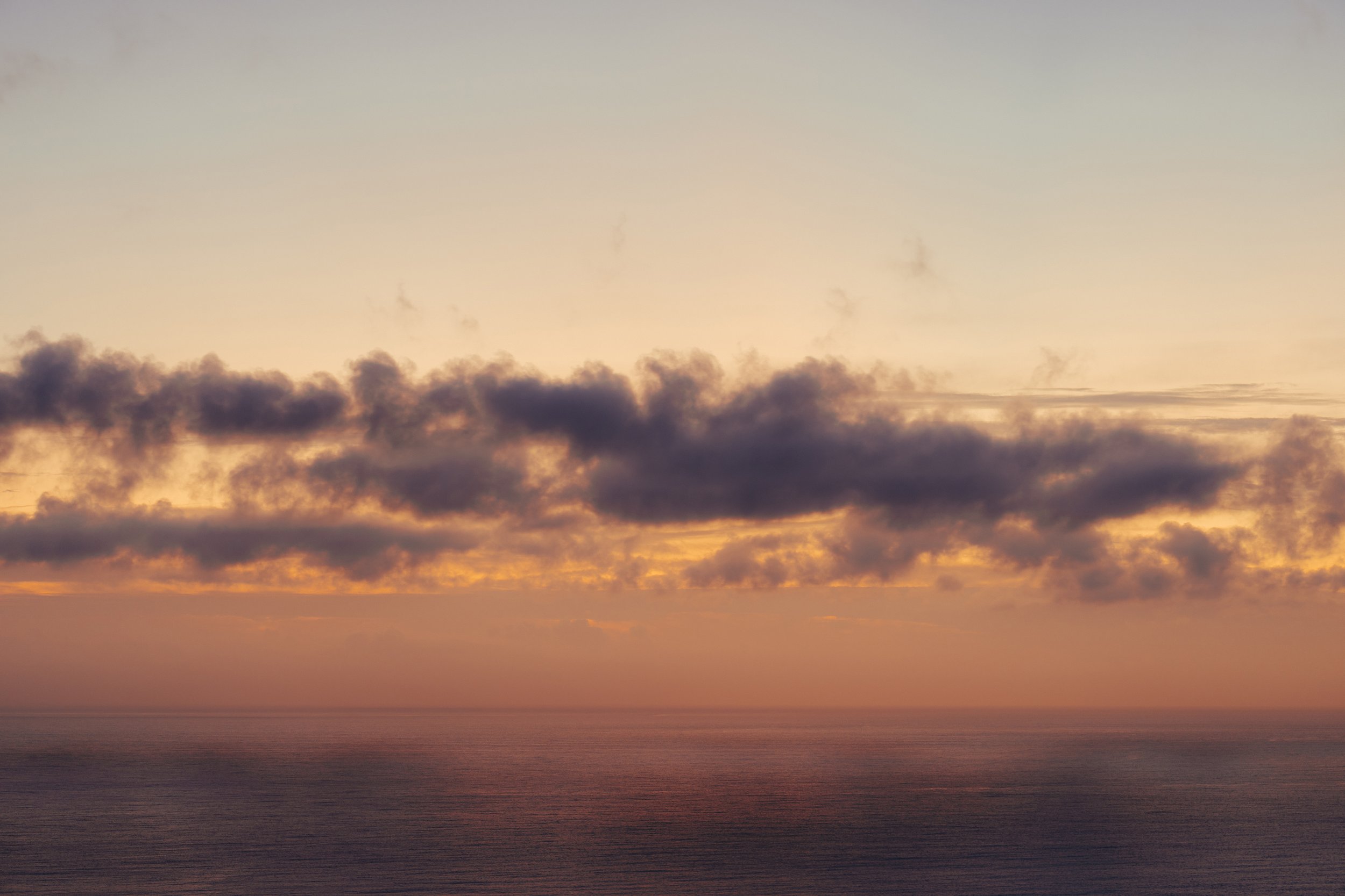 POR02624_compressed.jpg