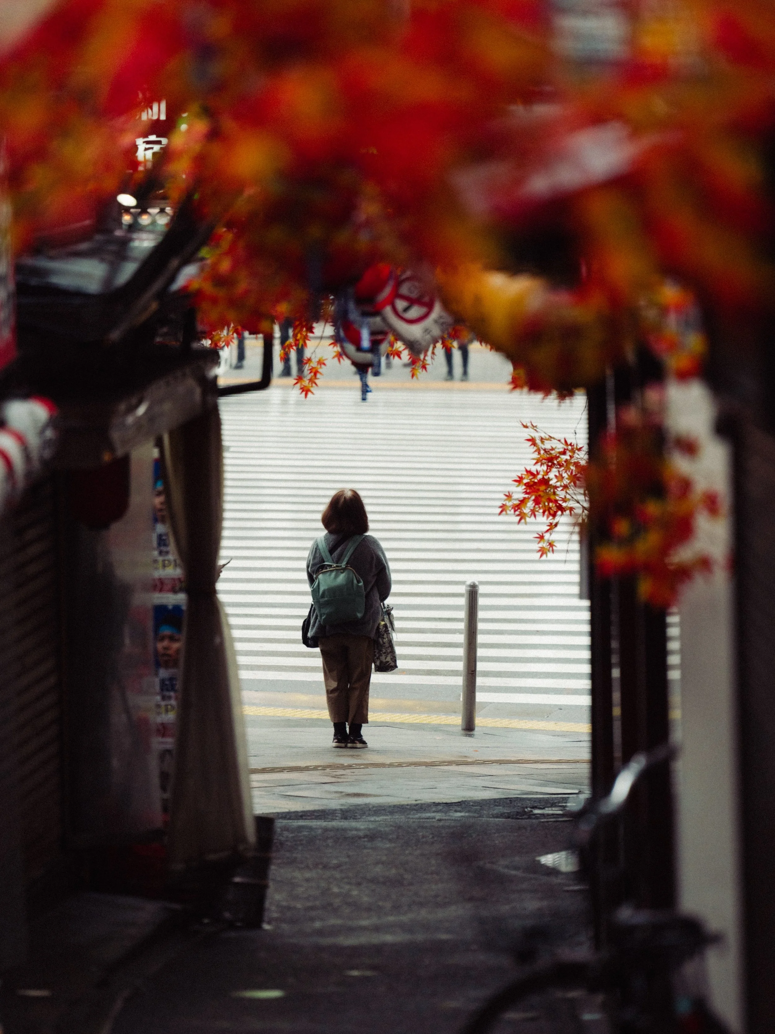 JAP05110.jpg