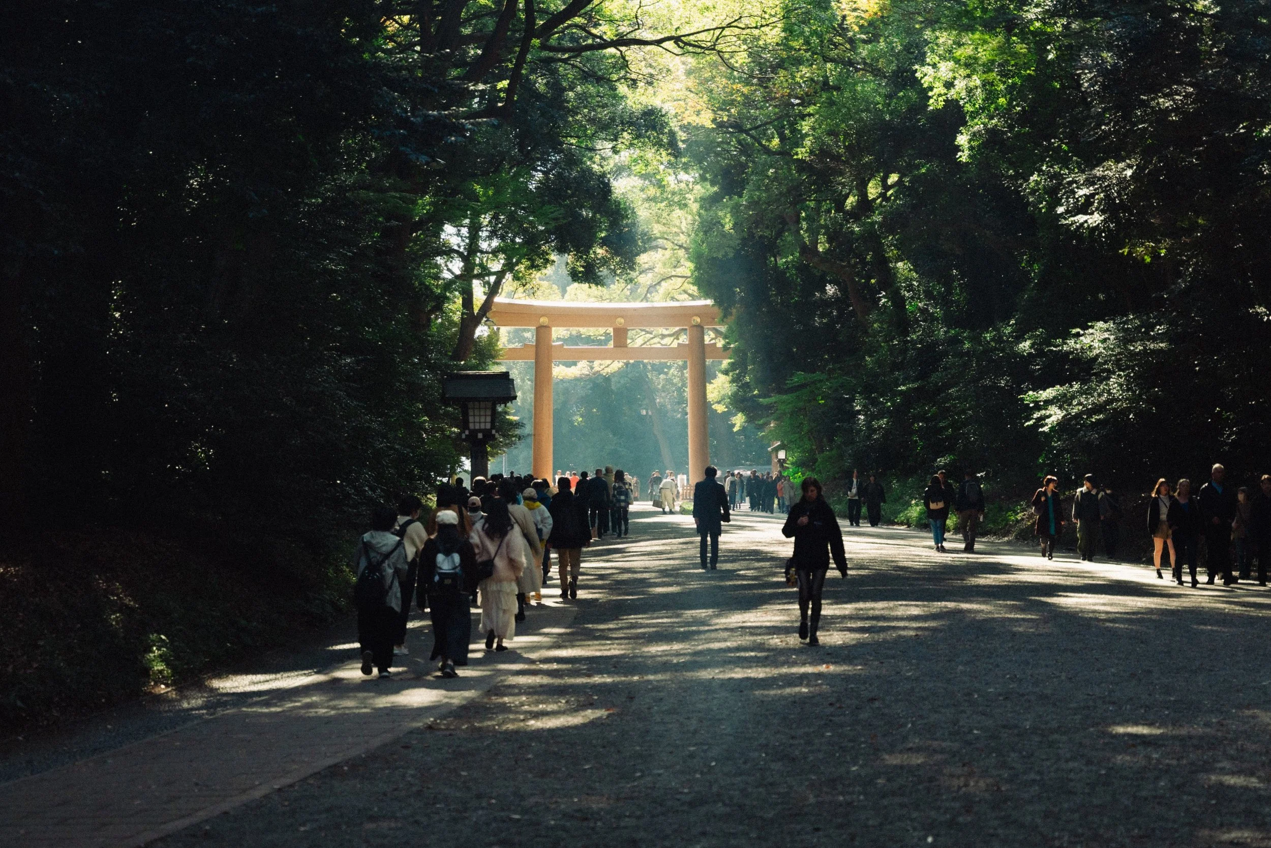 JAP00710.jpg