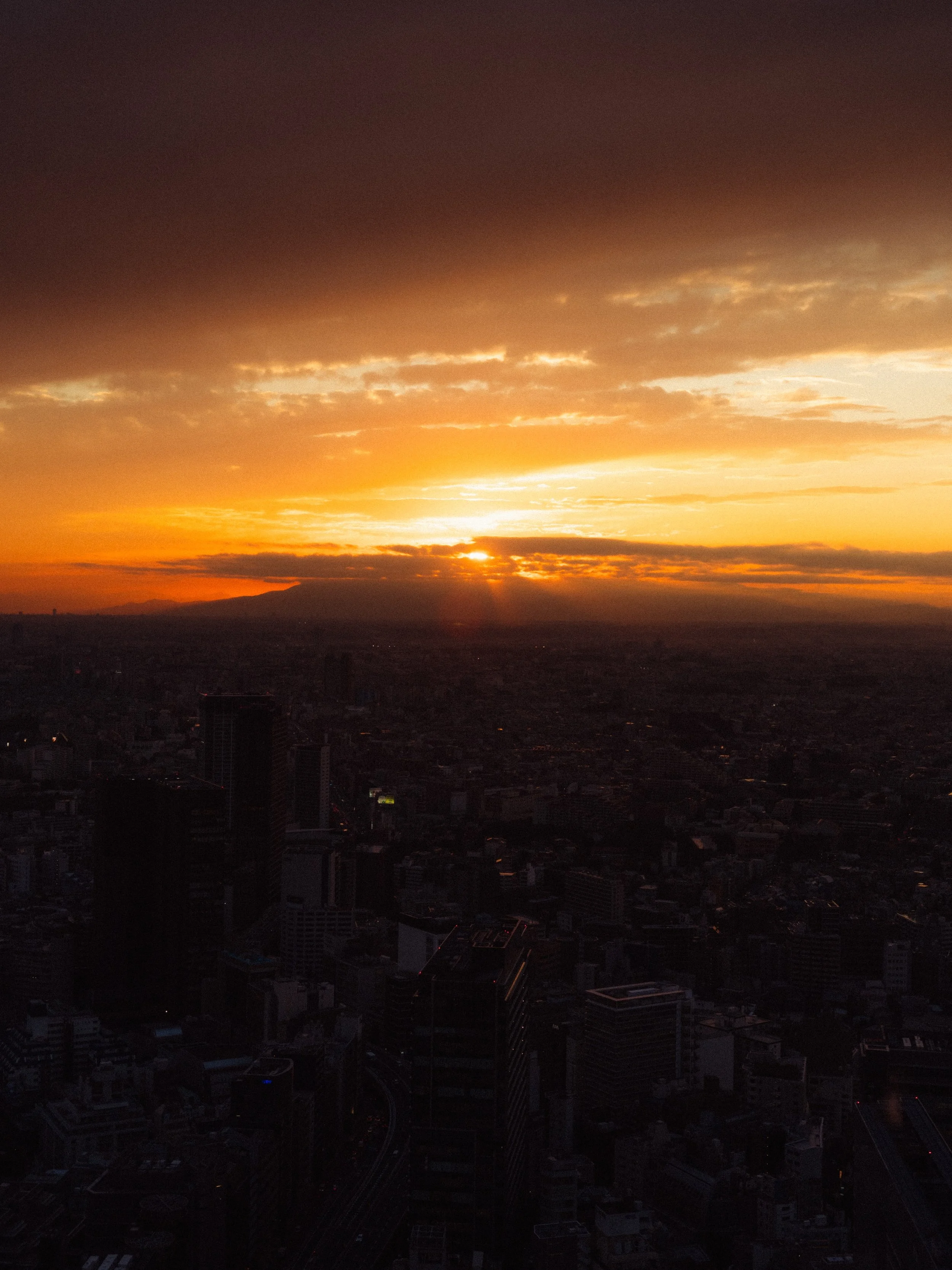 JAP08019.jpg