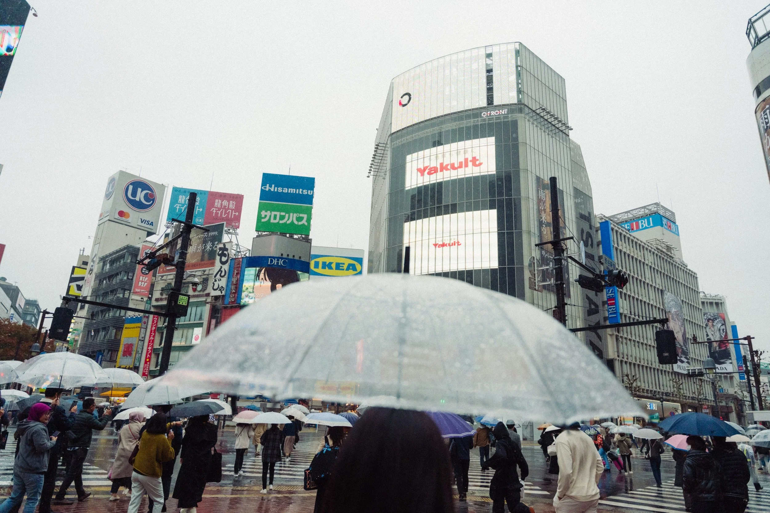 JAP07068.jpg