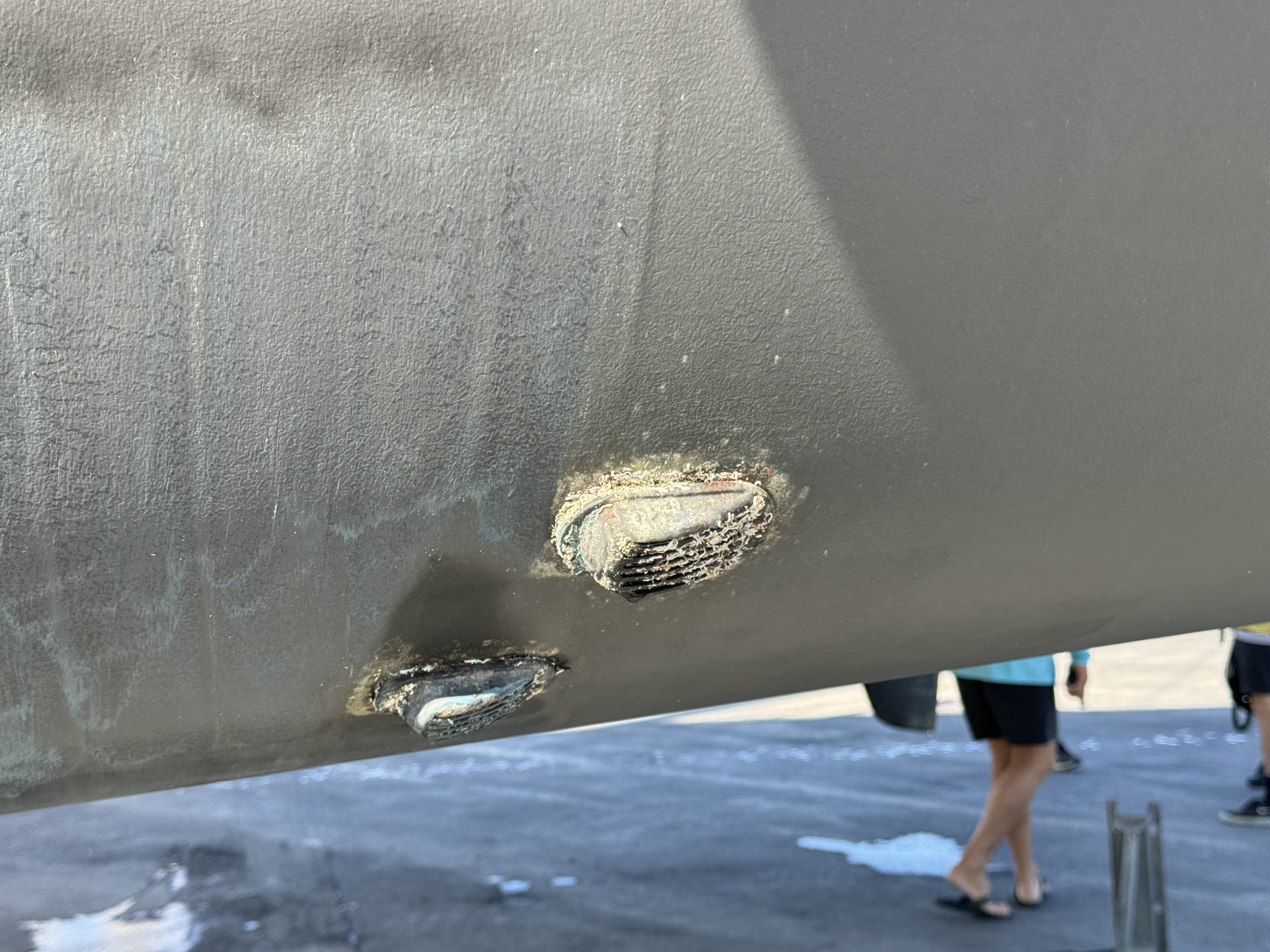 HO Annodes - 26.jpeg