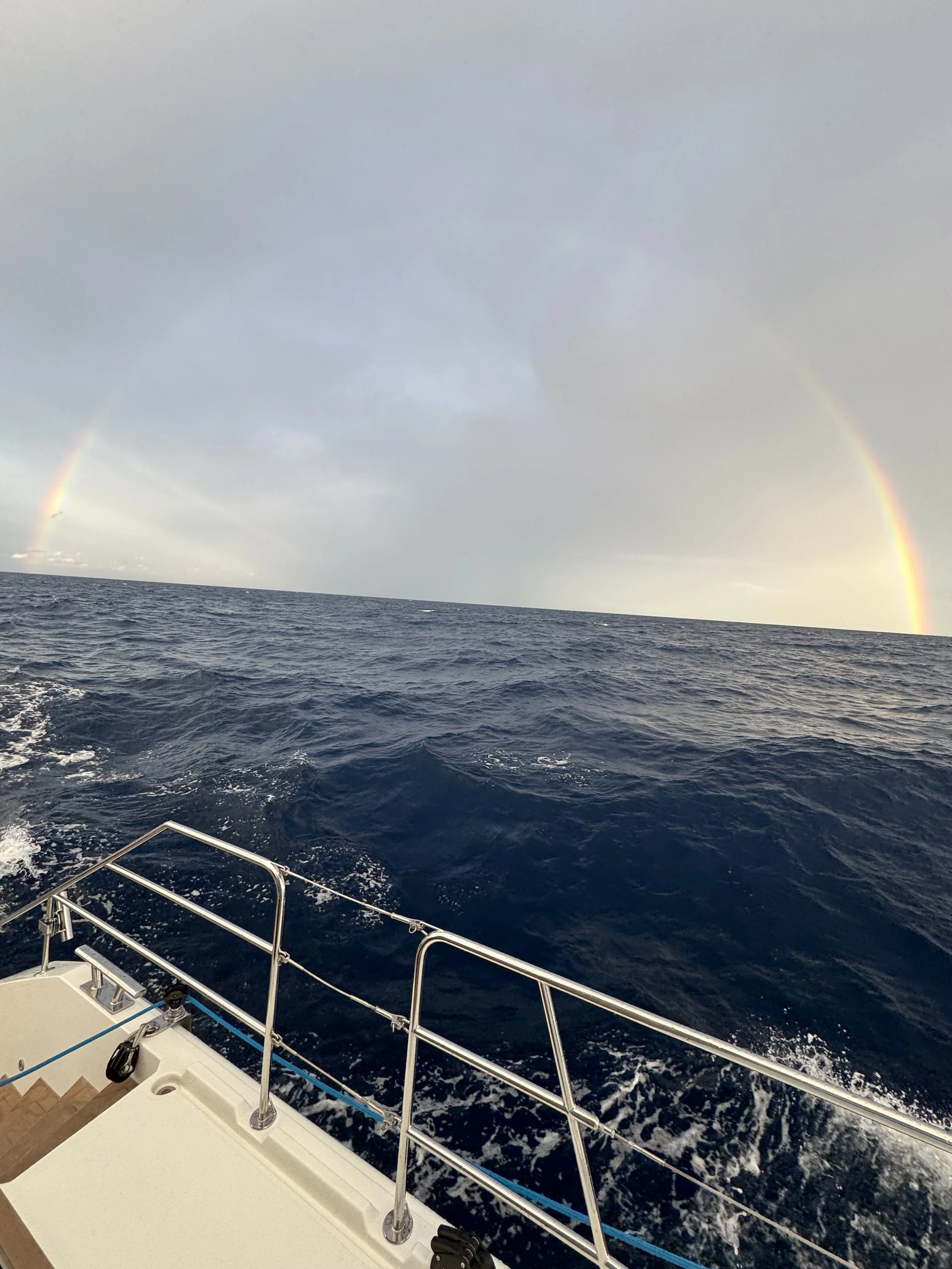 Rainbow - 21.jpeg