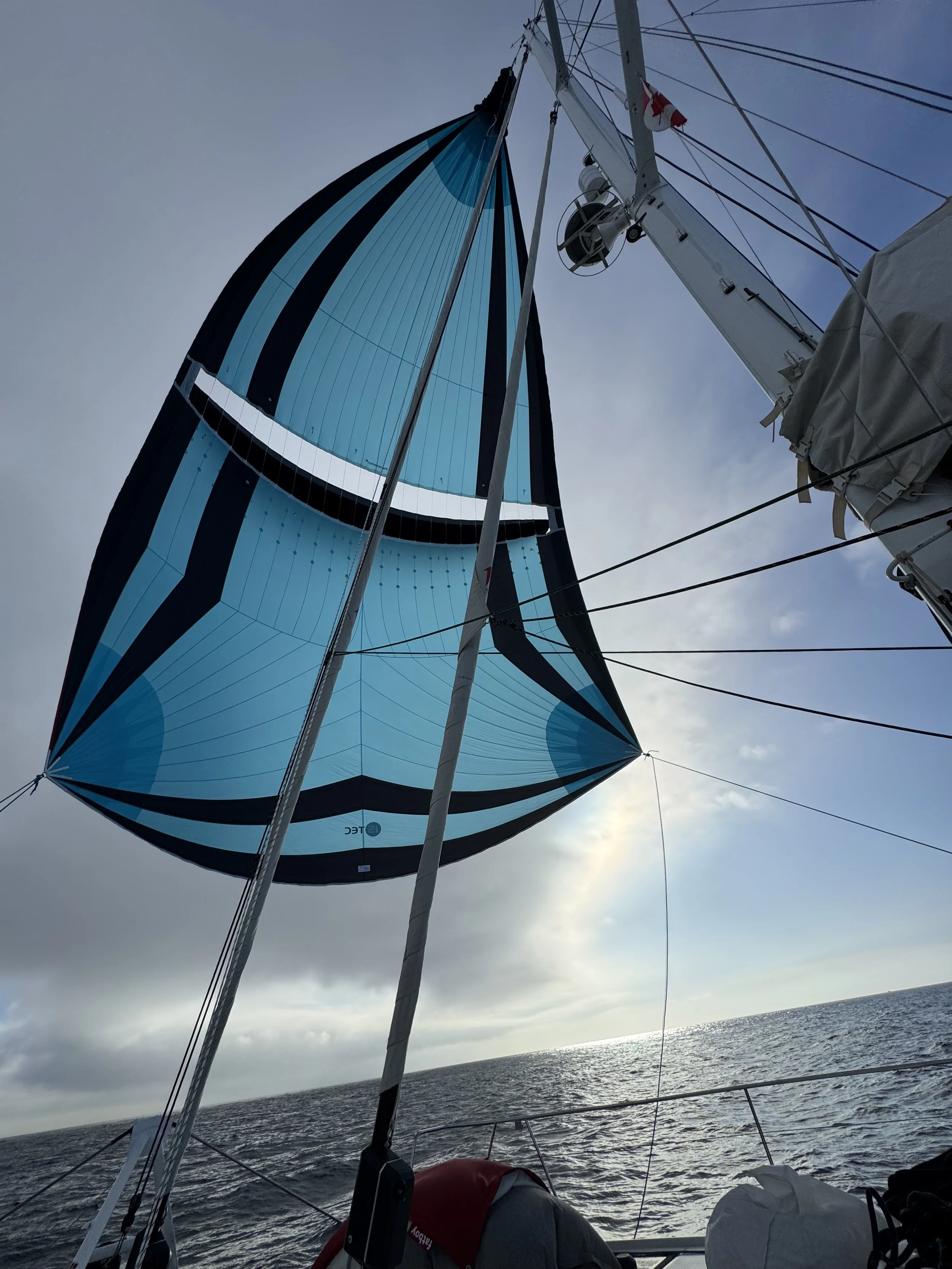 Parasailor Flies - 3 - 26..jpeg