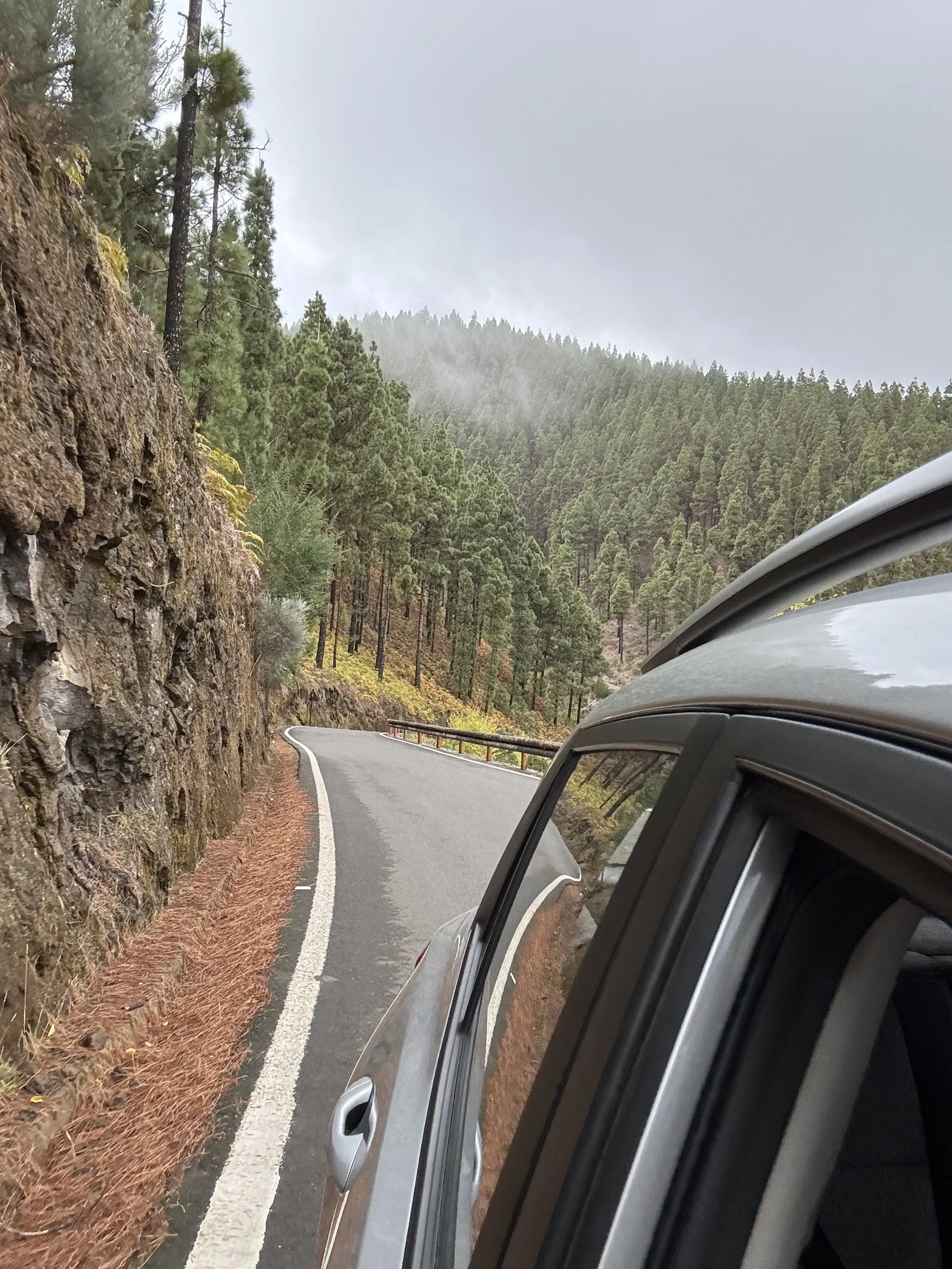 Windy Road - 30.jpeg