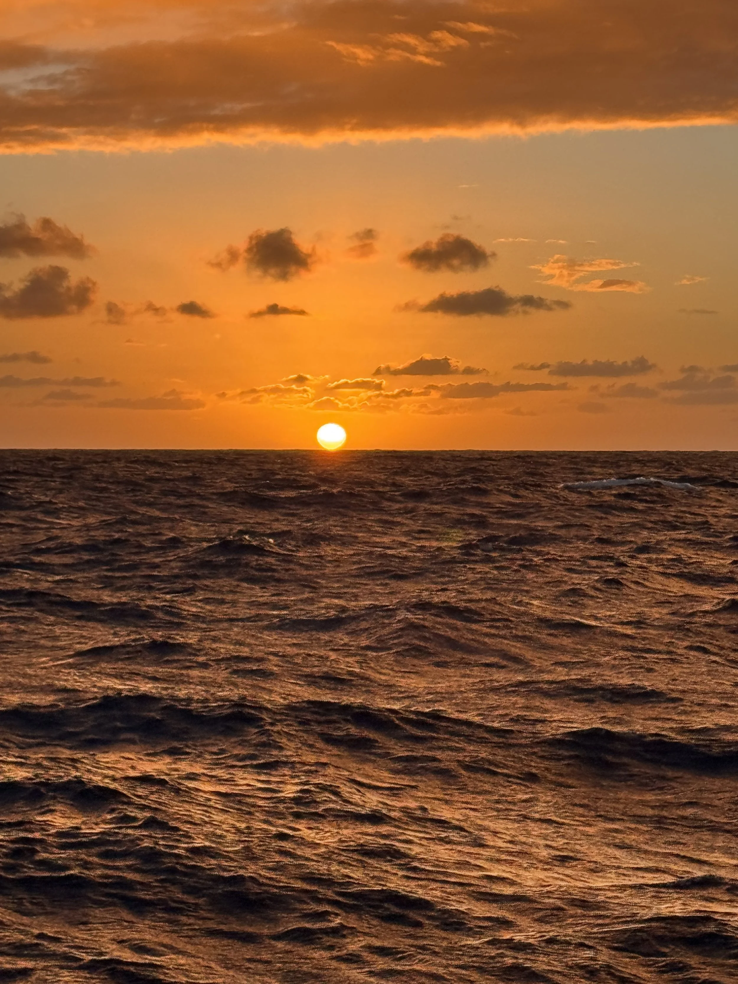 Sunrise 3 - 9.jpeg