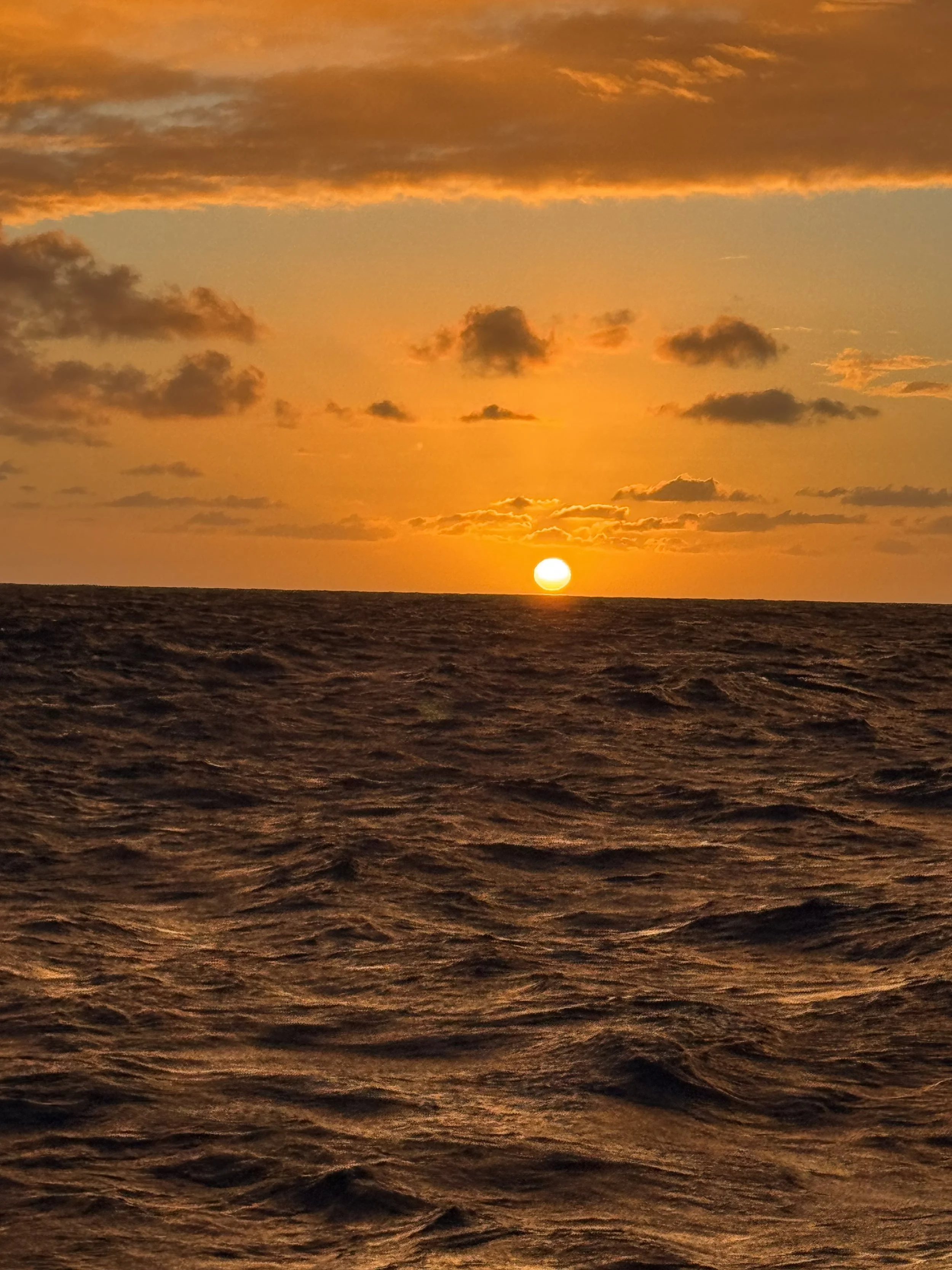 Sunrise 4 - 9.jpeg
