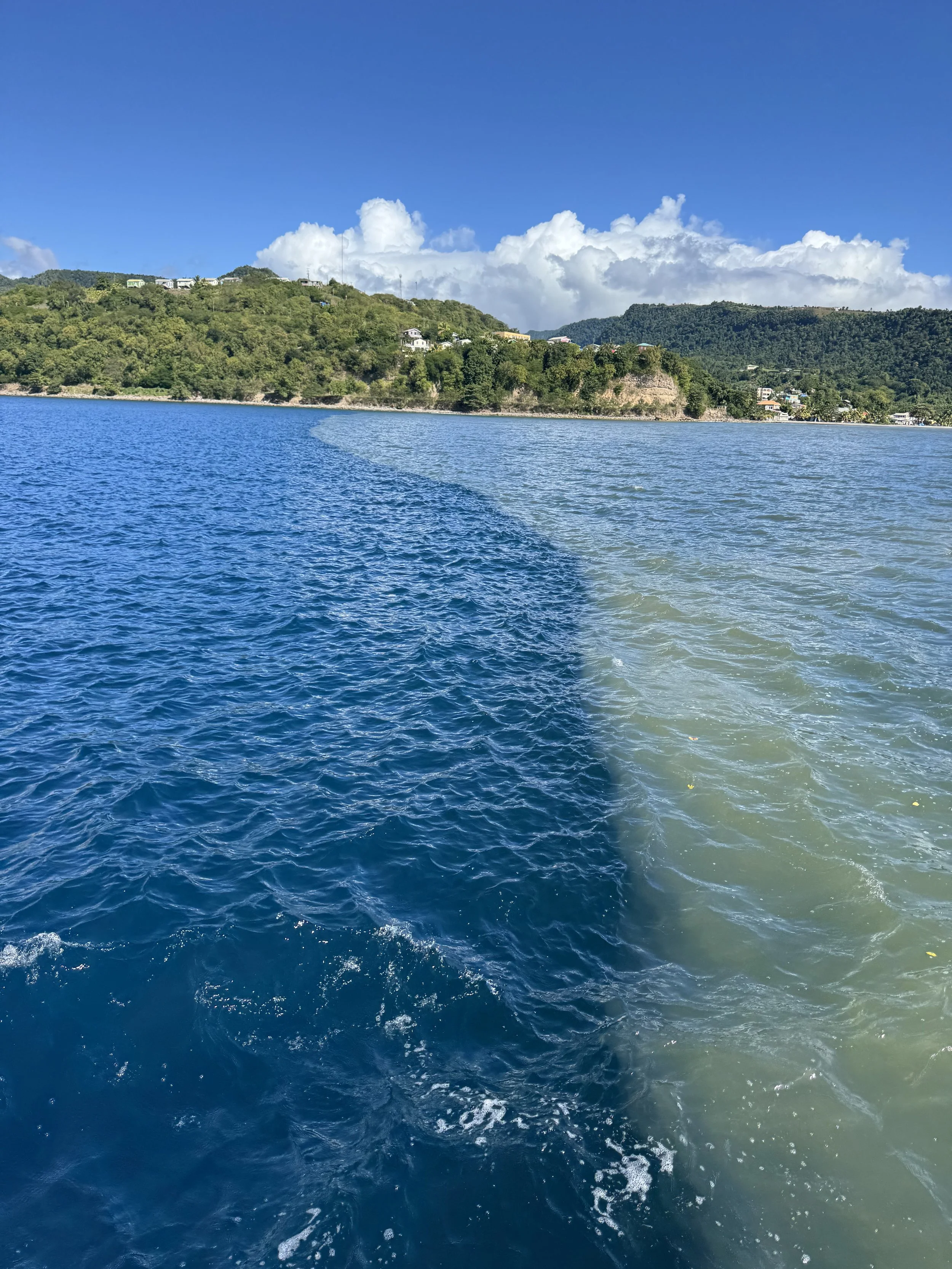 S2.27 - Paradise Found: First Steps into the Windward Islands of the Lesser Antilles