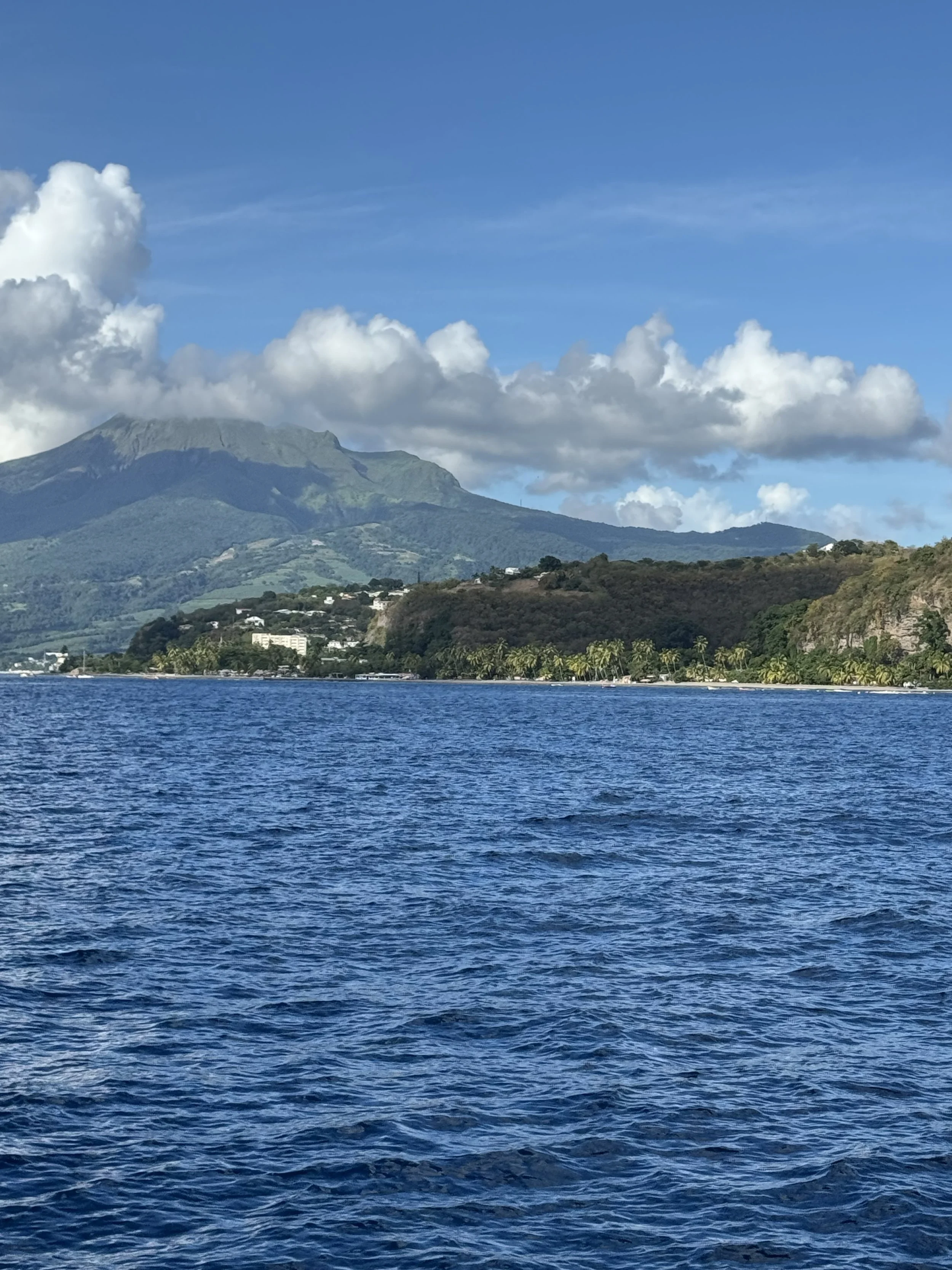 Martinique3 - 16.jpeg