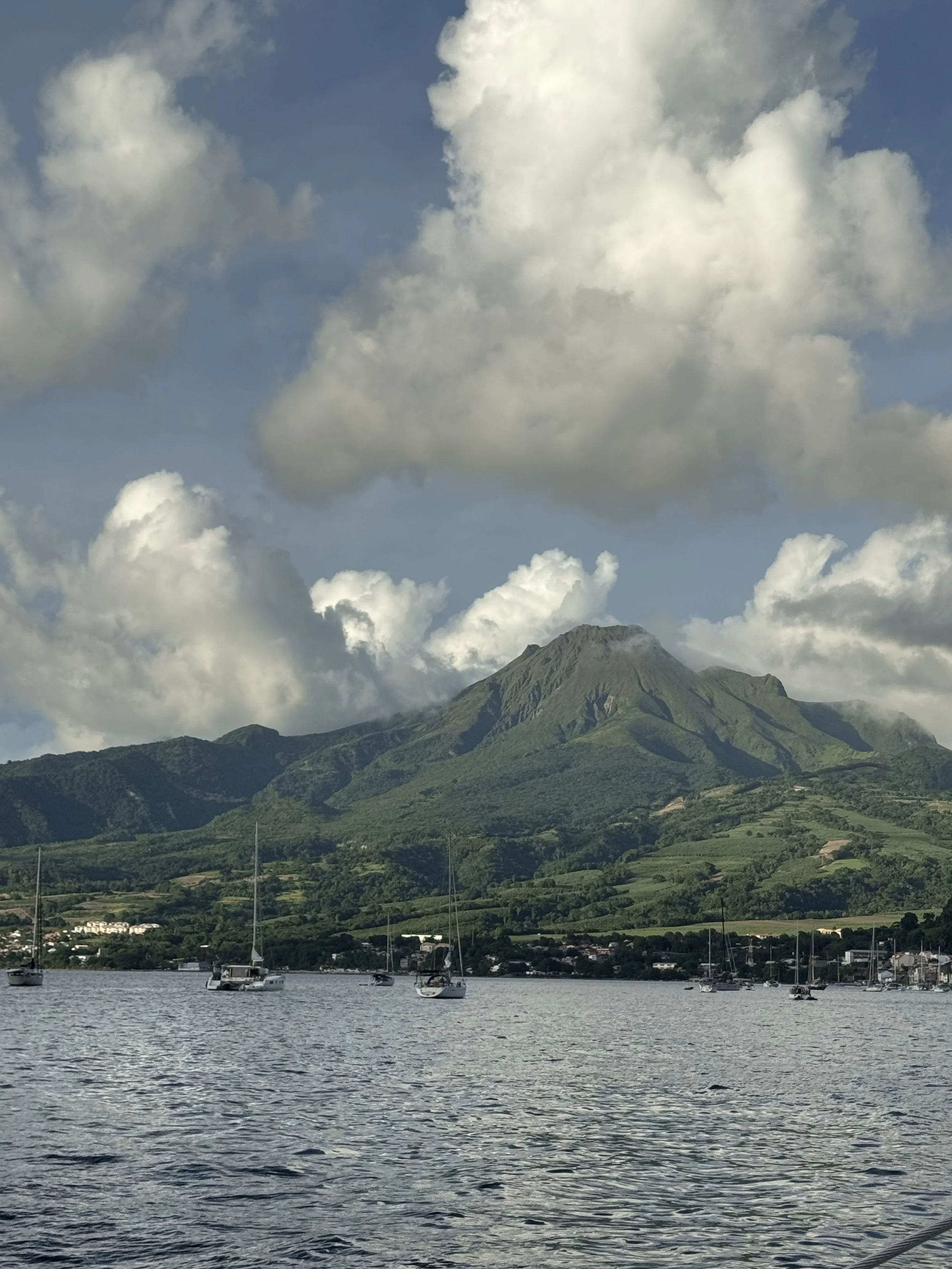 Martinique5 - 16.jpeg