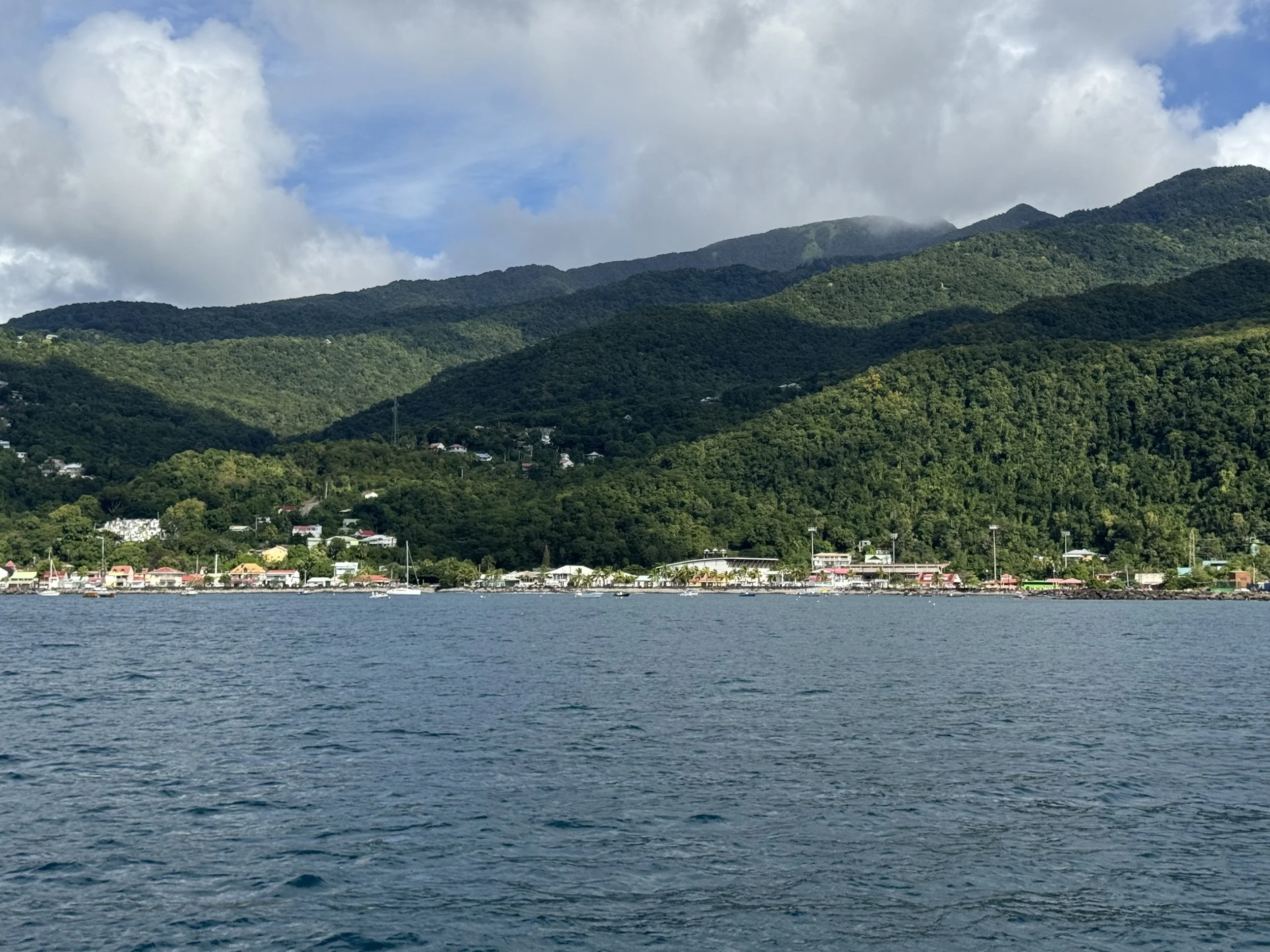 Petit Anse2 Guadaloupe- 18.jpeg