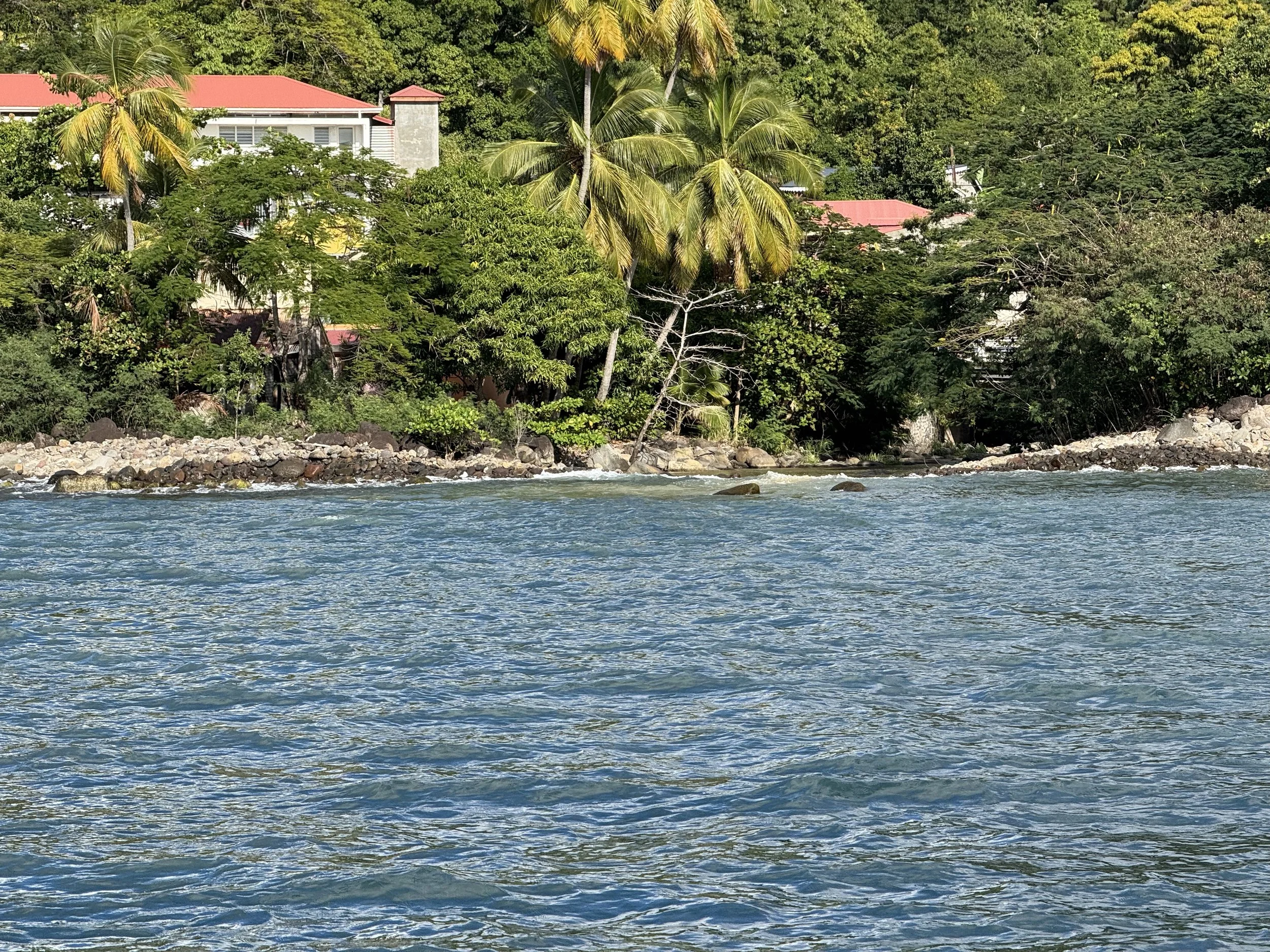 Petit Anse3 Guadaloupe- 18.jpeg