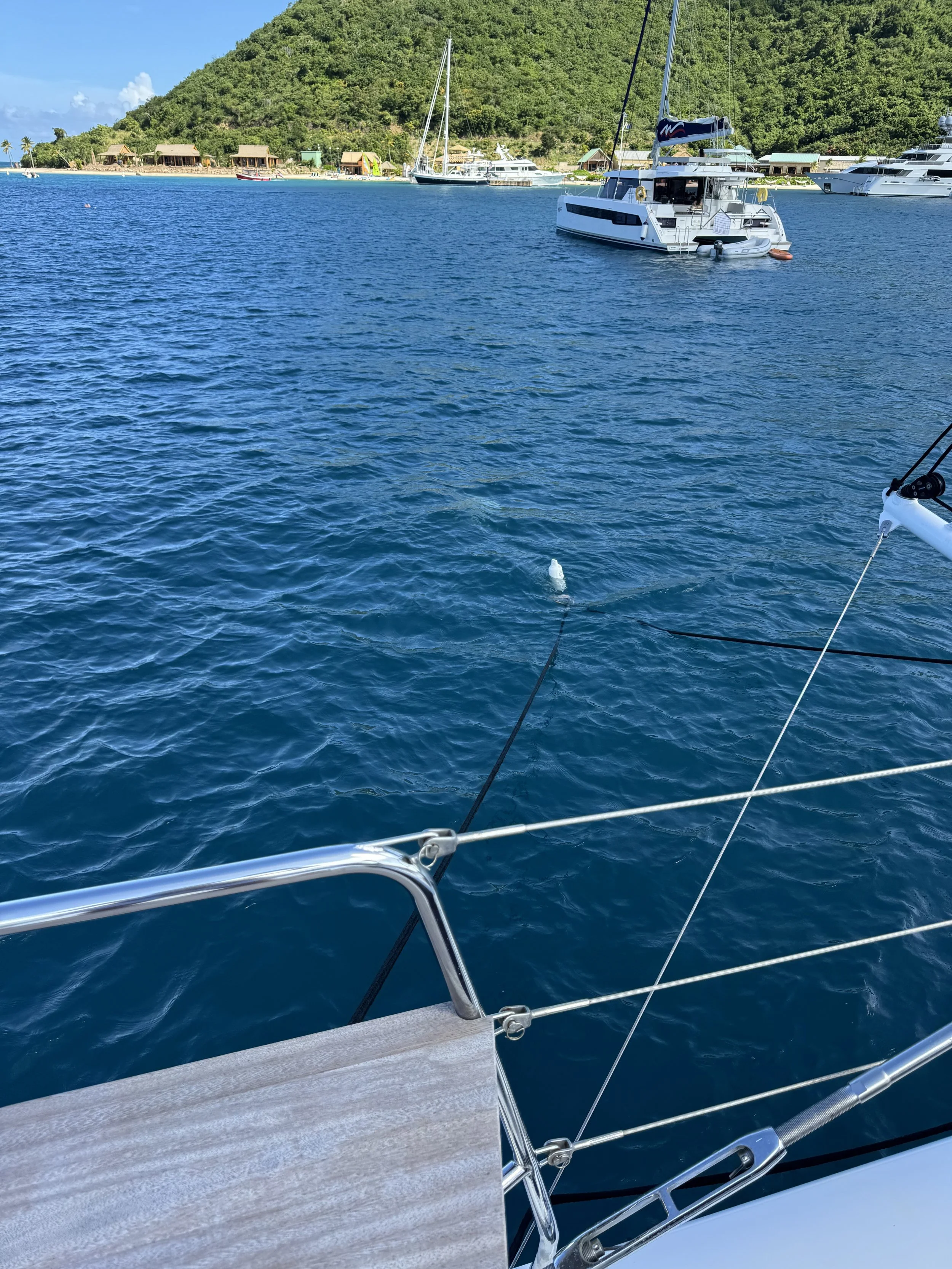 Mooring Ball 28 .jpeg