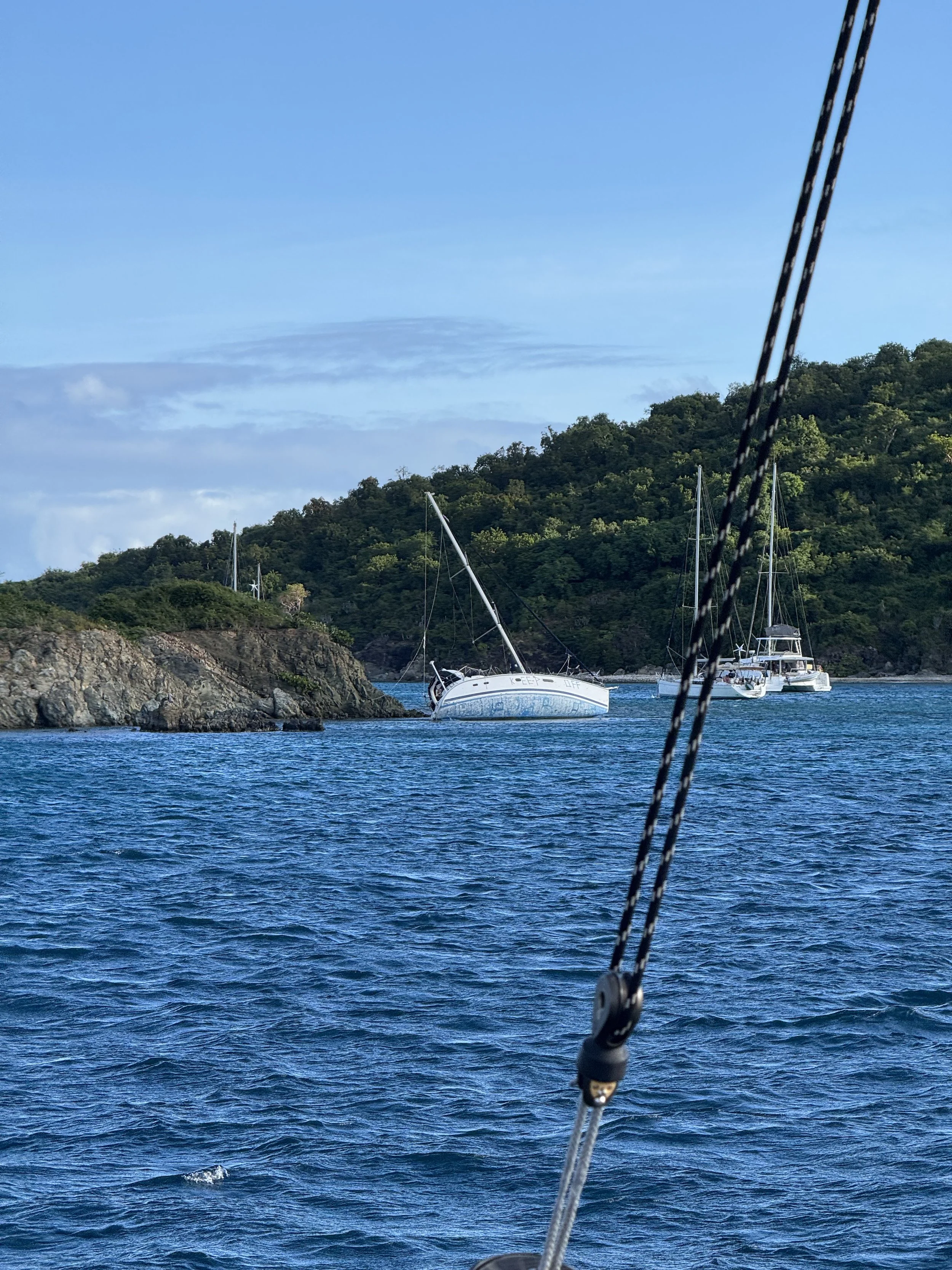 Christmas Cove2 - 29.jpeg