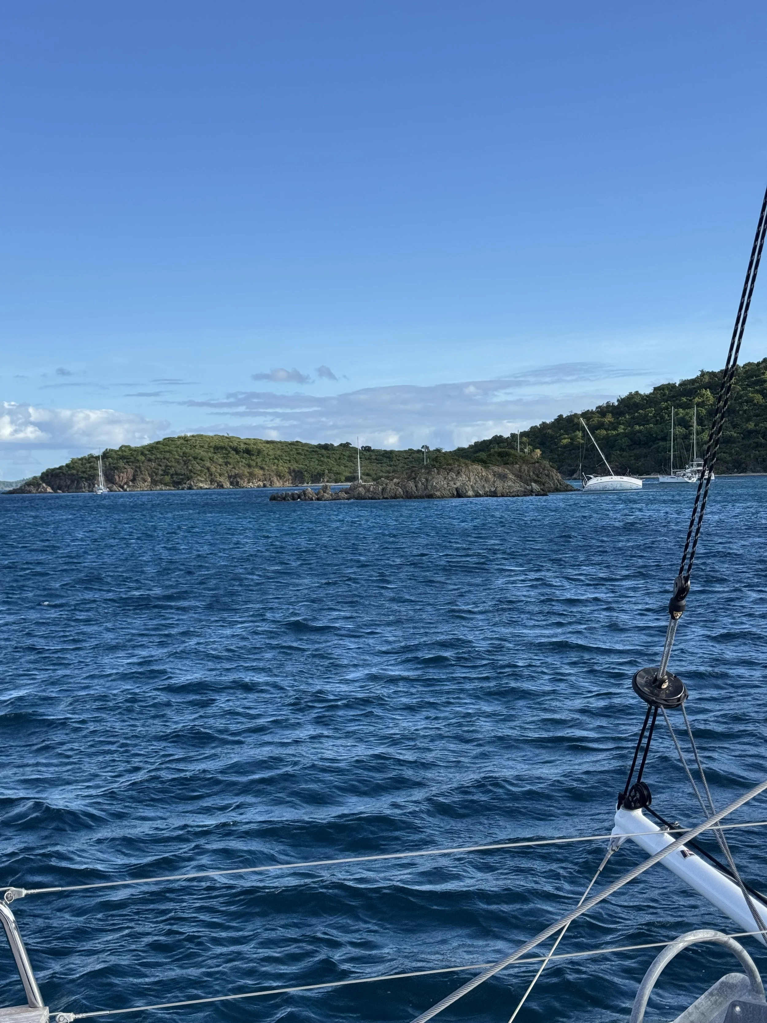 Christmas Cove1 - 29.jpeg