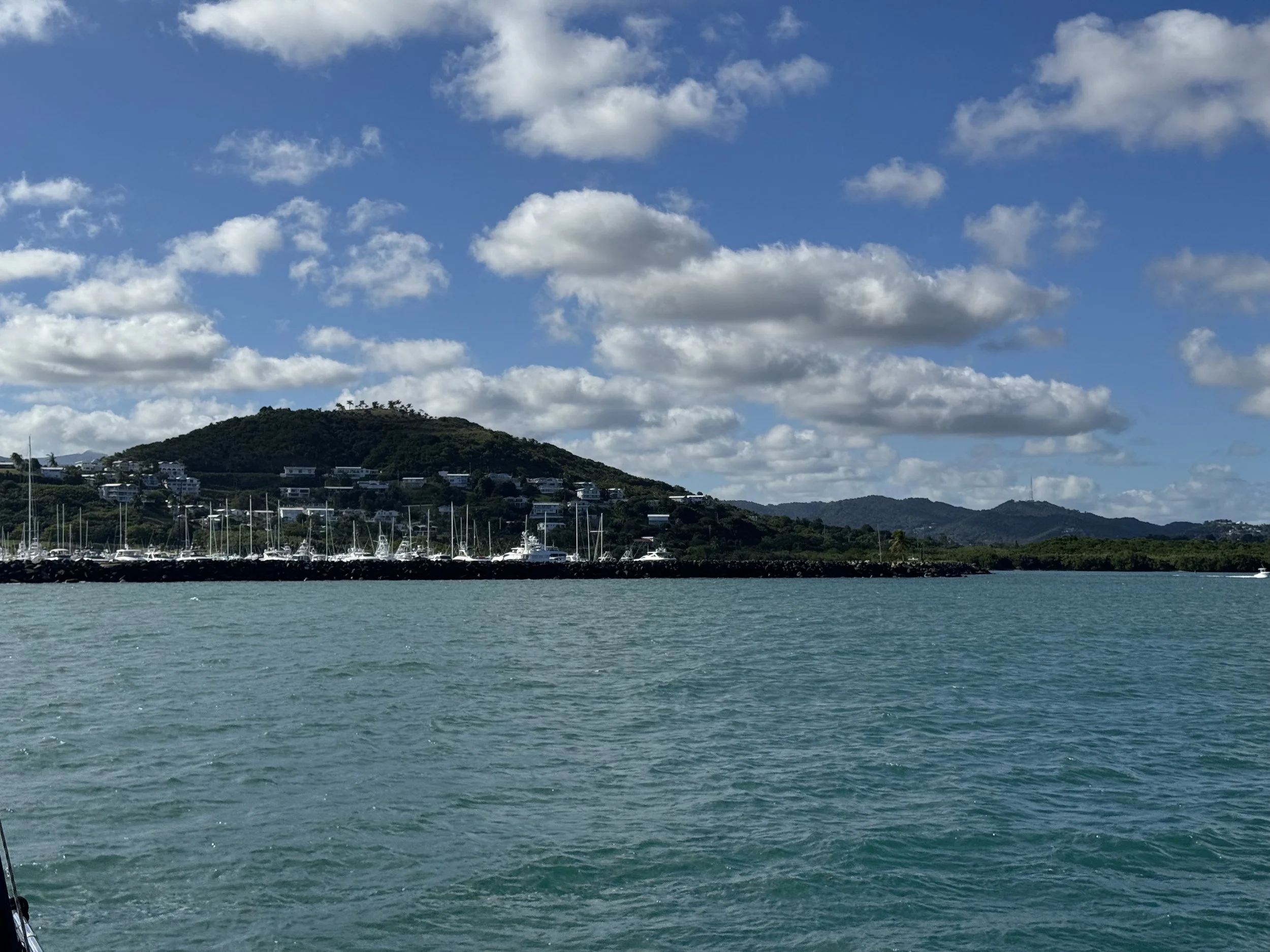 Last Sail4 - 13.jpeg