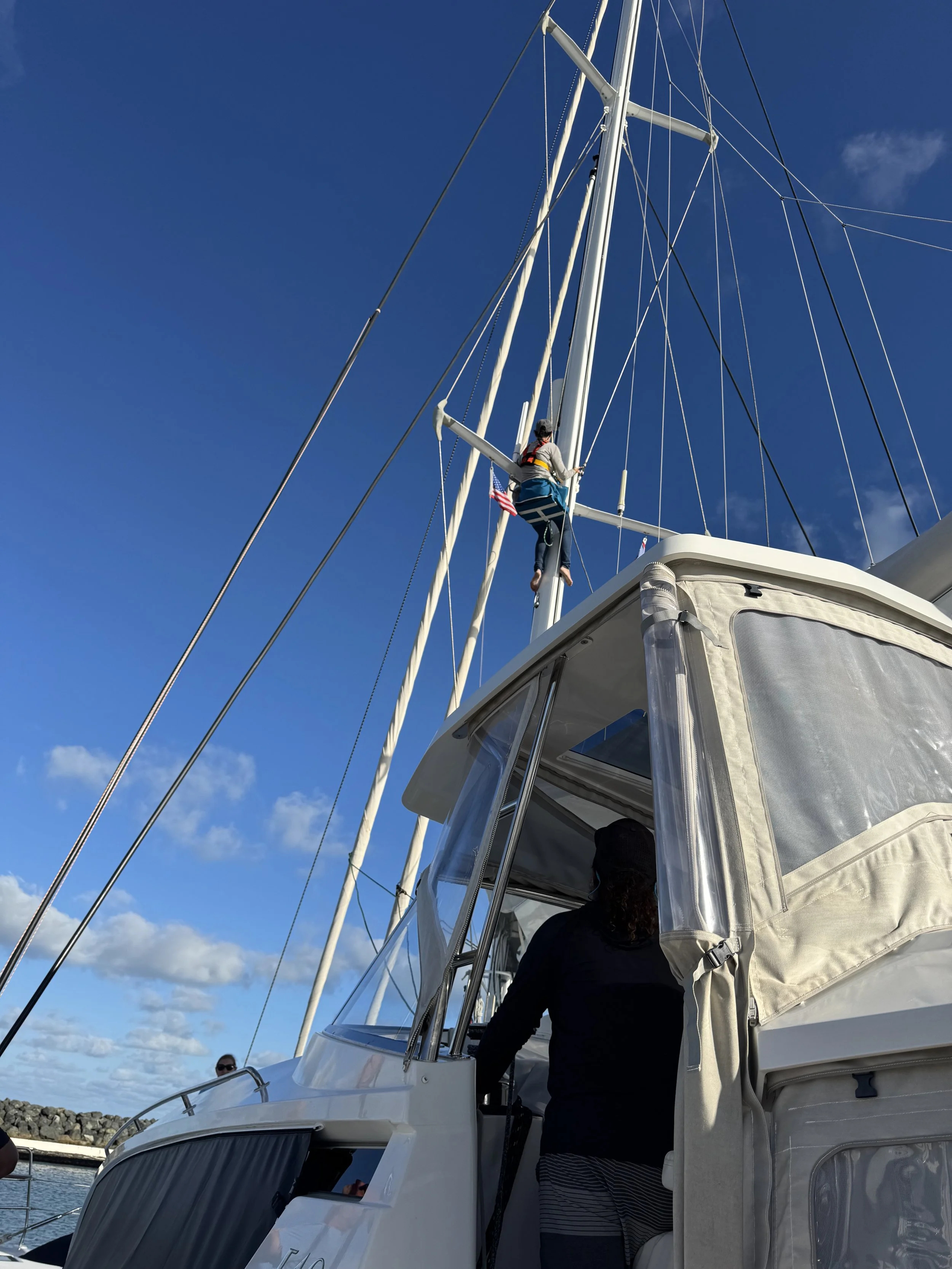 Rig Check2 - 13.jpeg