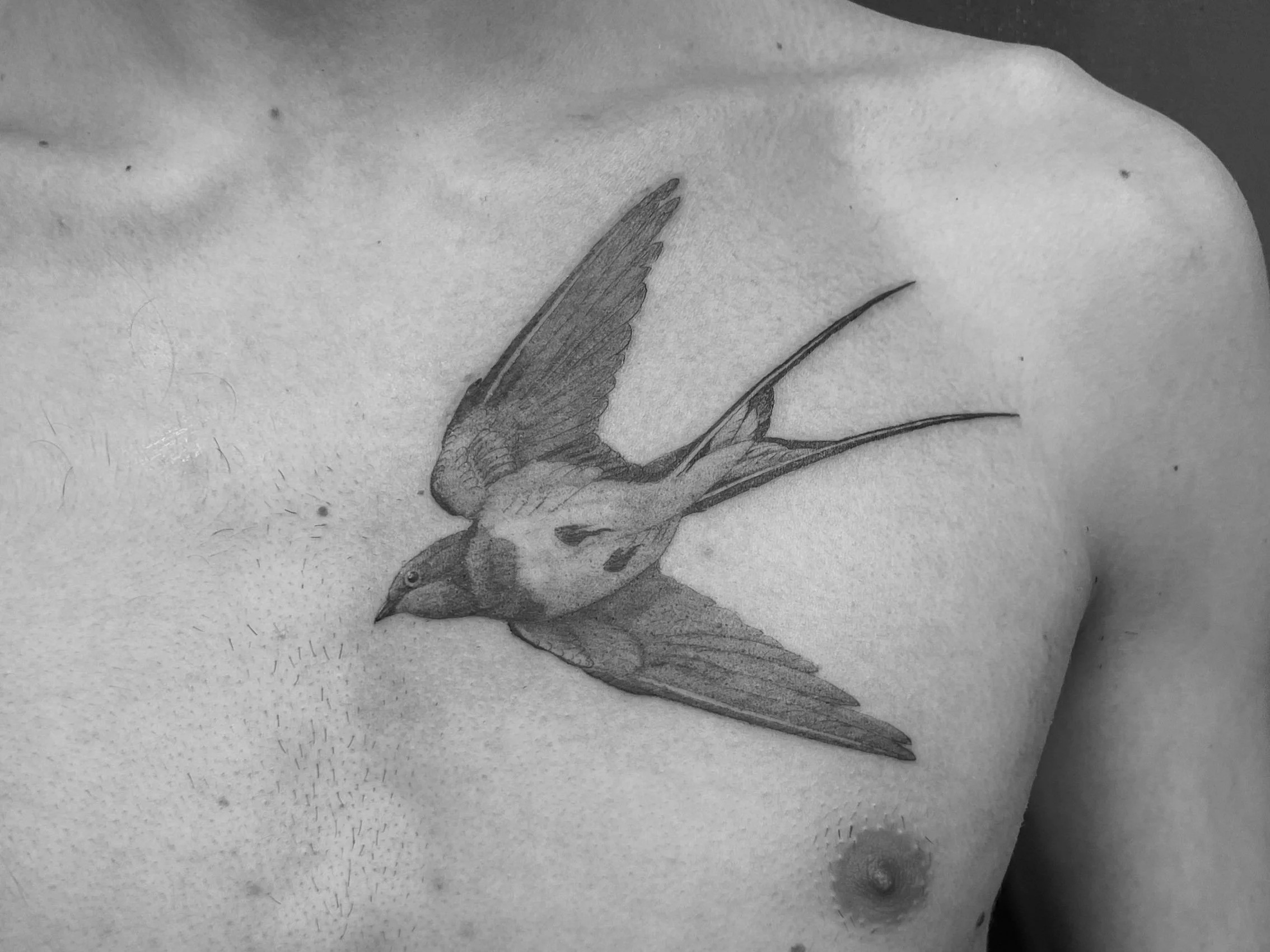 Walk-in Tattoos, Same Day Tattoo Appointments, and Online Booking