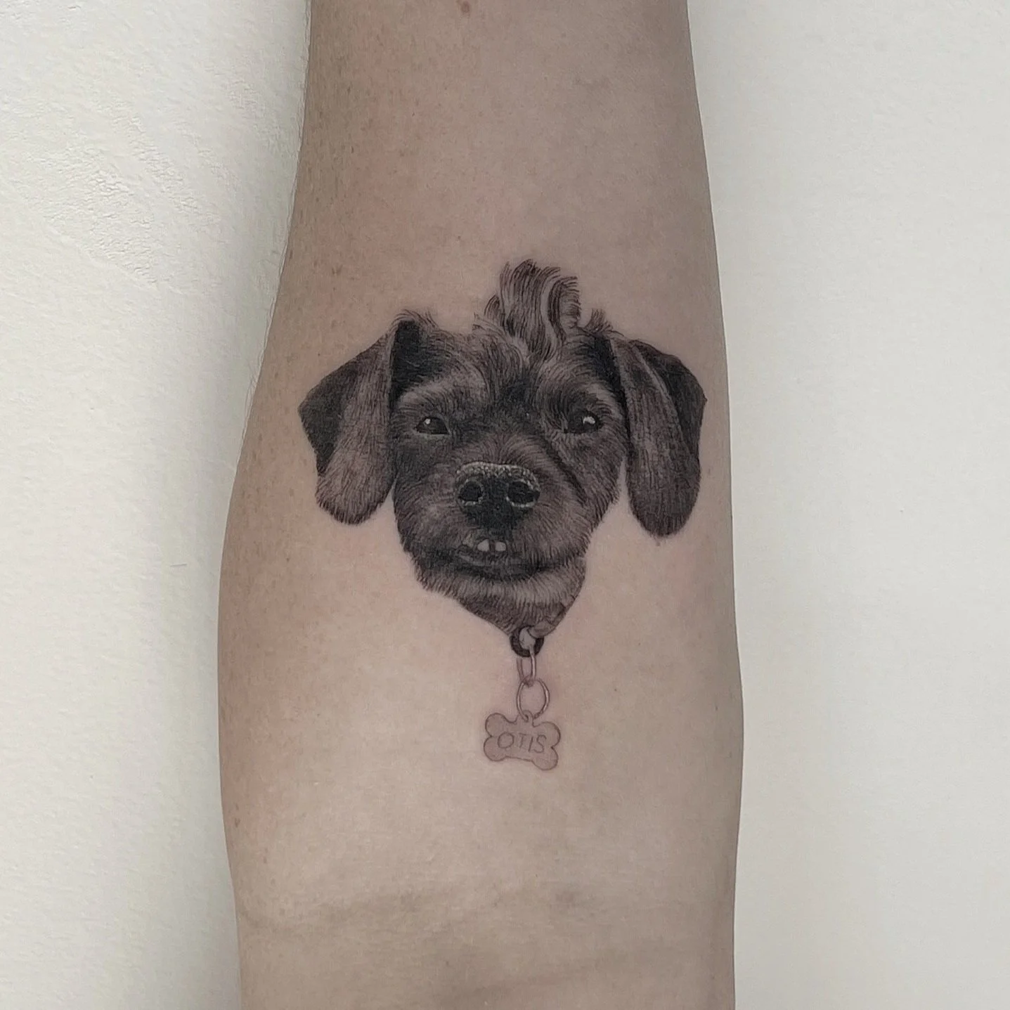 Celebrate Your Pet with Single Needle Black and Grey Portrait Tattoos by Tyler Borich in Eagle Rock