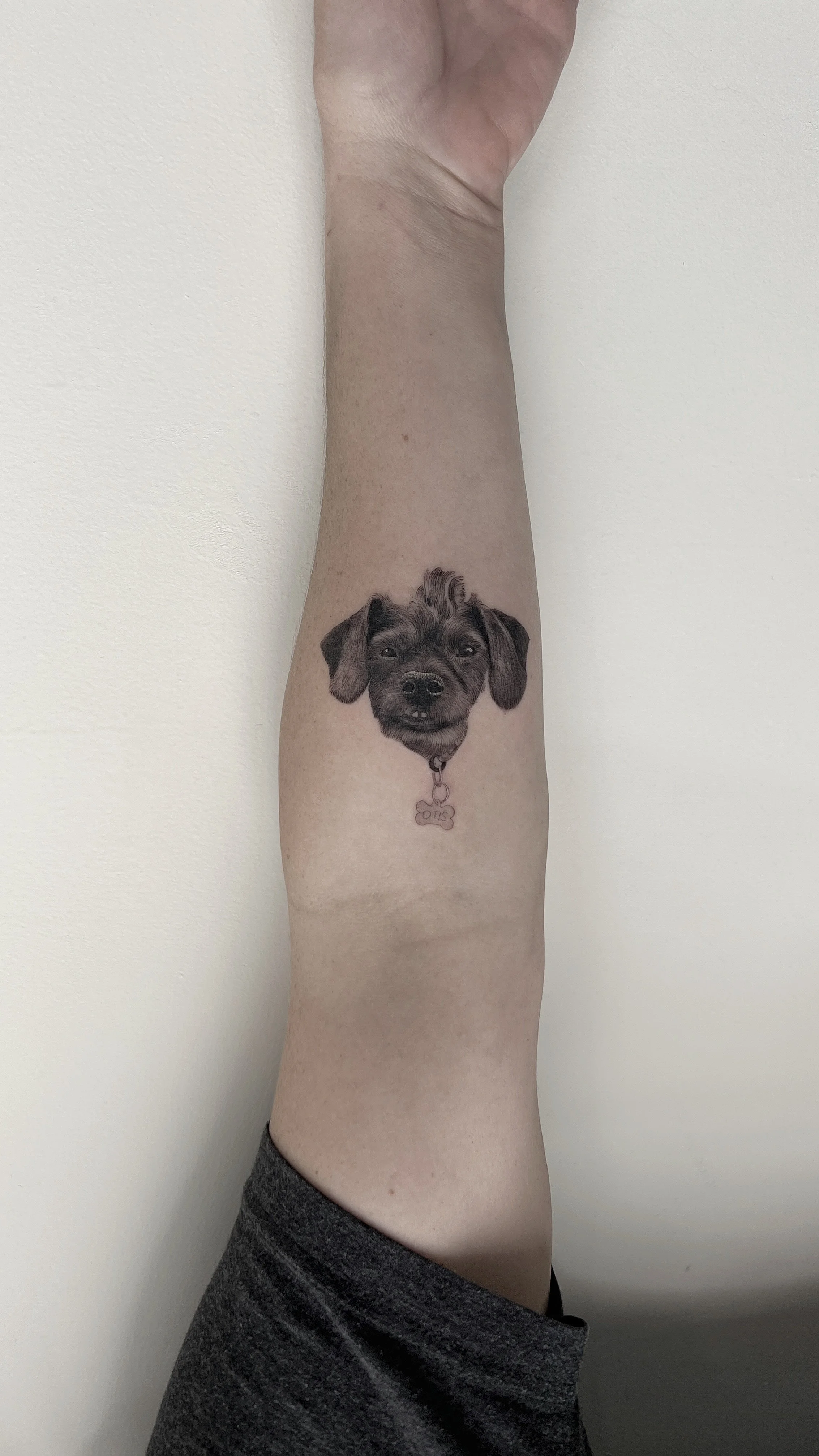 tyler_borich_dog_portrait_tattoo.jpg