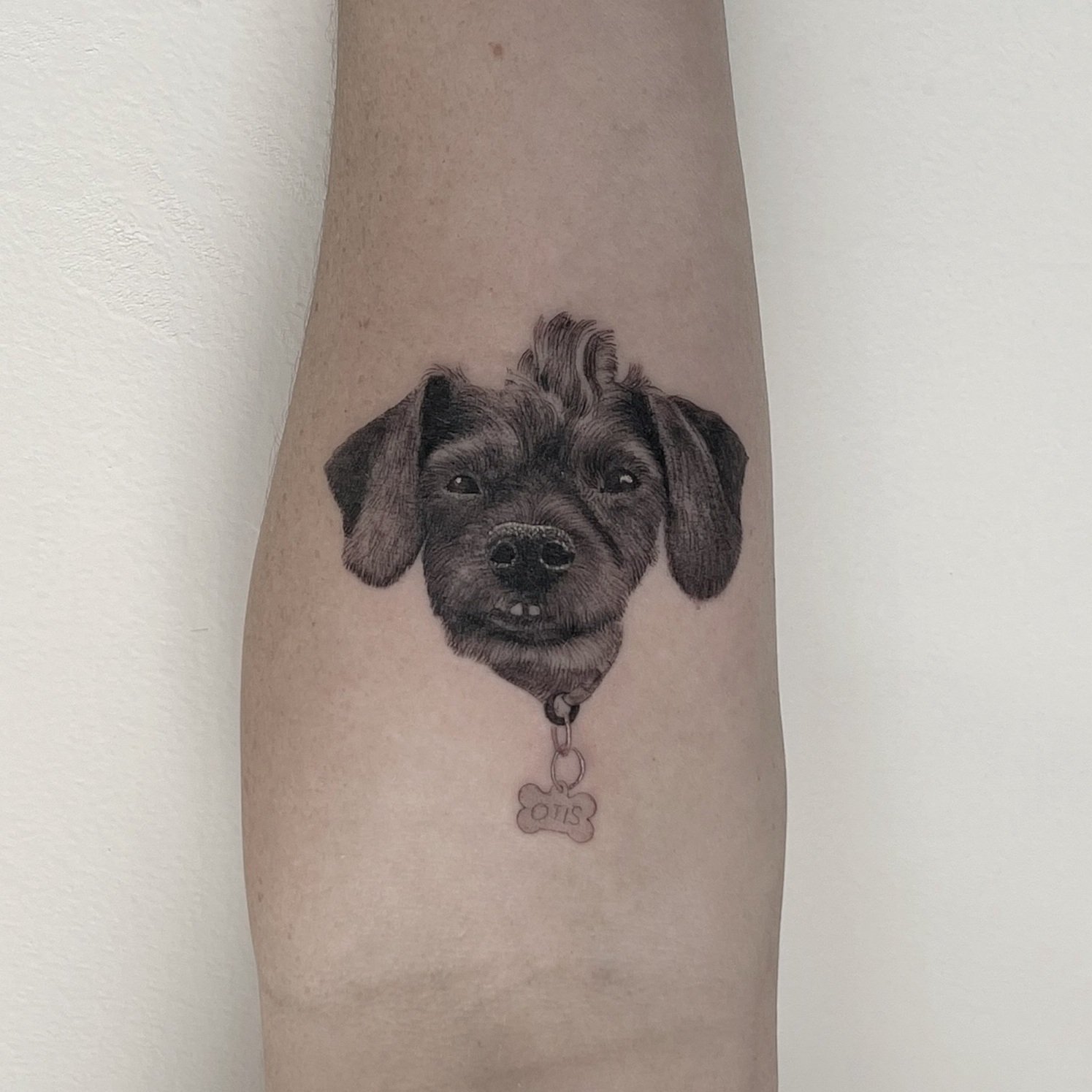 tyler_borich_dog_portrait_tattoo.jpg