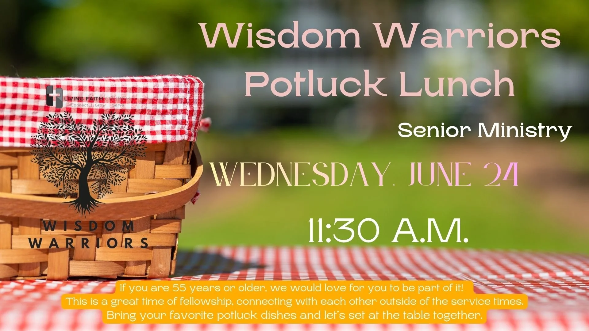 Wisdom Warriors Potluck Lunch