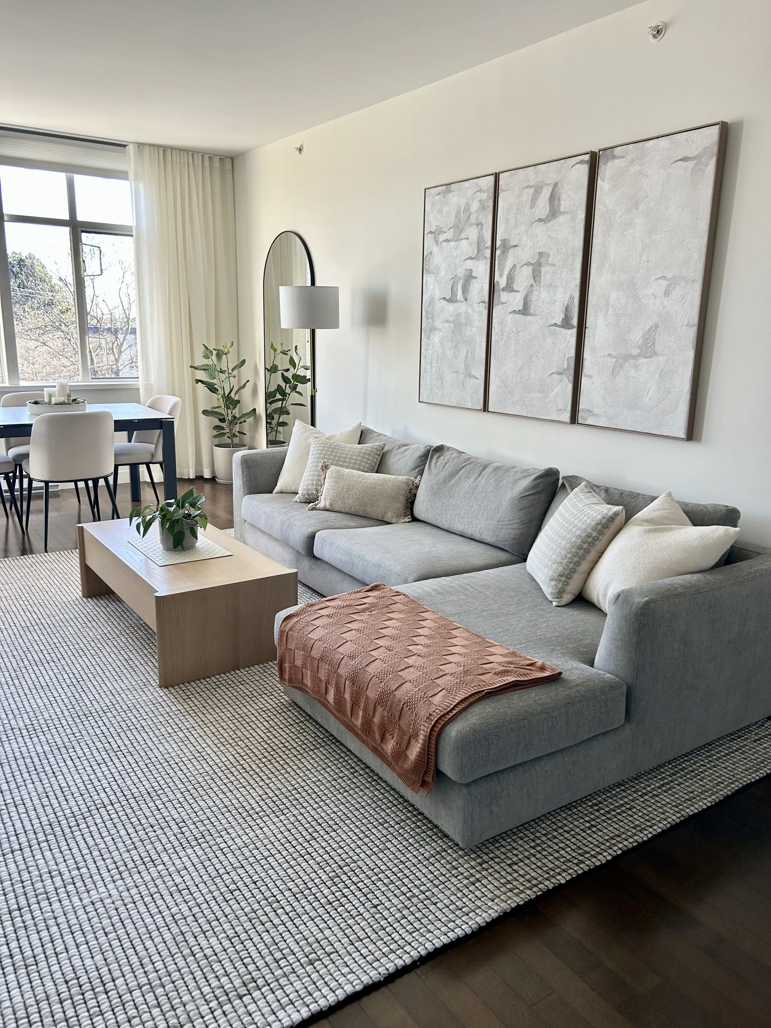 Modern living room with light gray sofa, decorative pillows, and orange throw blanket, wooden coffee table with plant, patterned rug, dining area with white chairs, large window with curtains, wall art of abstract birds, floor lamp, and indoor plants