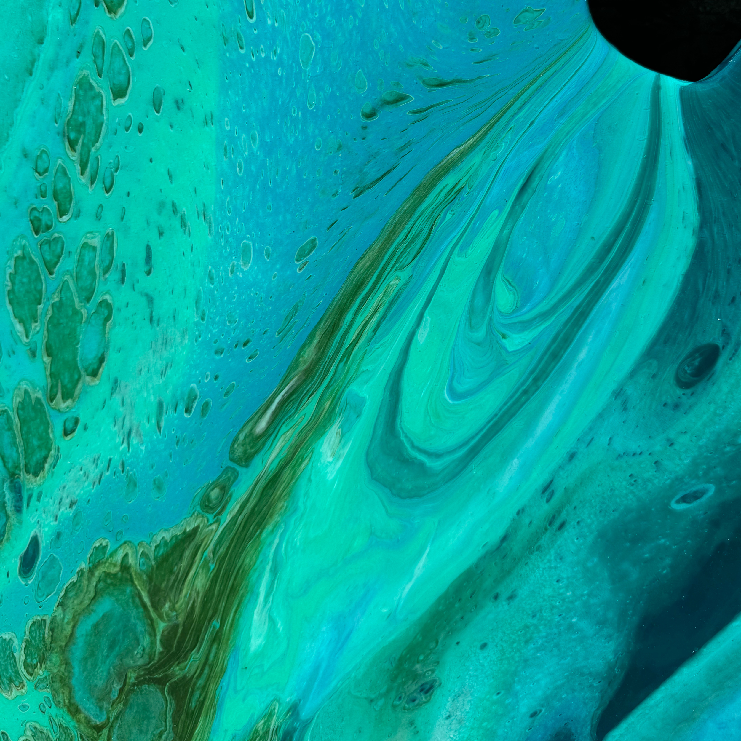 12.png