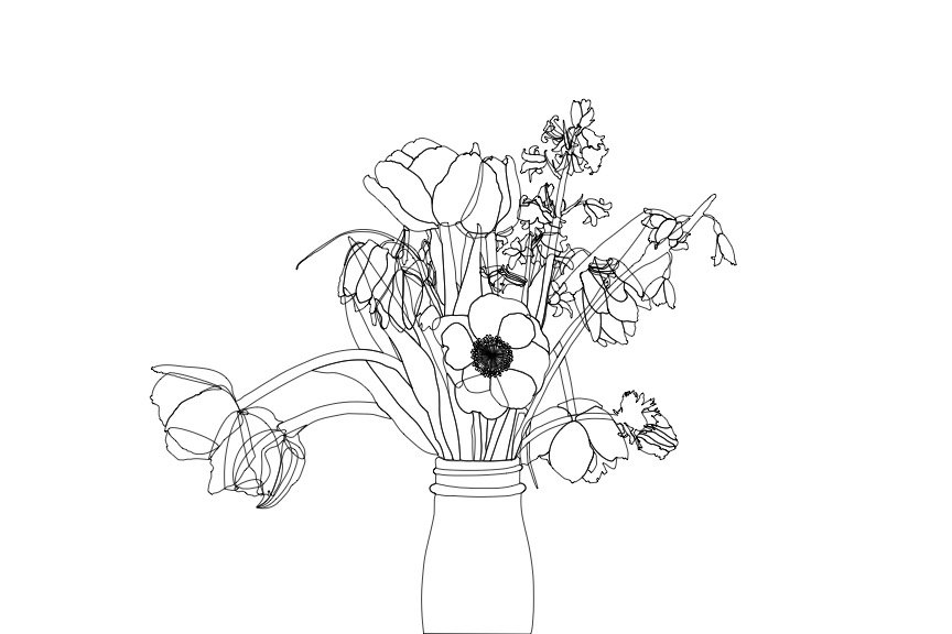 Final Portfolio Collection.jpg