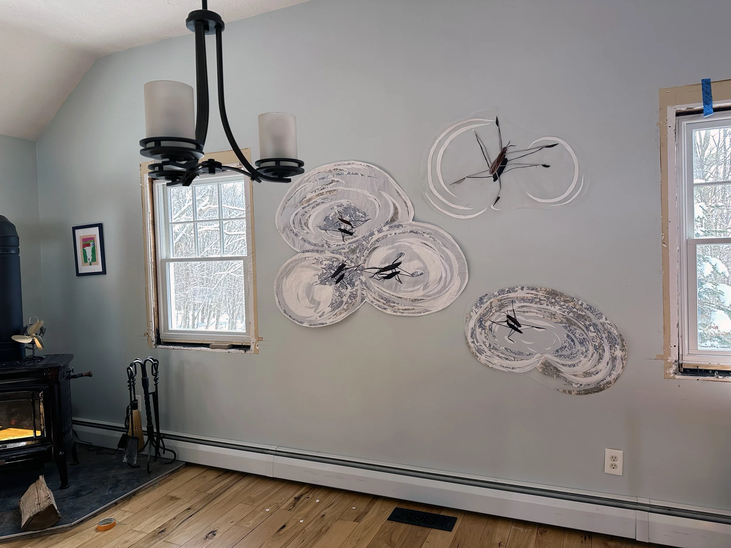 Water Striders_scale.jpg