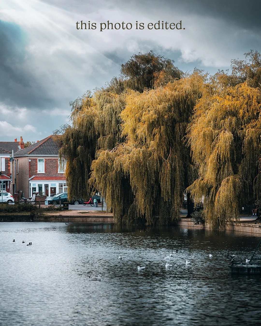🎨 This image is edited.

Swipe to see the transformation 👉
It&rsquo;s amazing how much the right lighting, tones, and color balance can change the entire feel of a photo. Editing isn&rsquo;t about faking it &mdash; it&rsquo;s about bringing out the