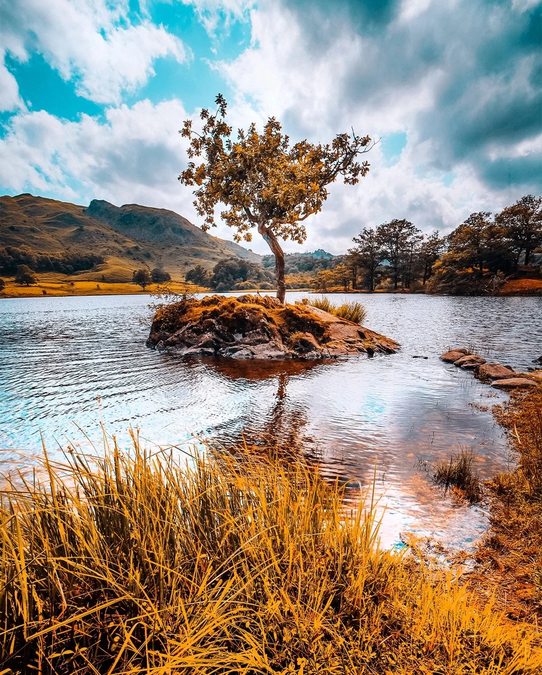 🍂 Golden moments in the Lake District.

There&rsquo;s something special about the way this place catches light &mdash; even in the middle of the day, the hills, water, and trees seem to glow with these soft orange tones. Every turn feels like a pain