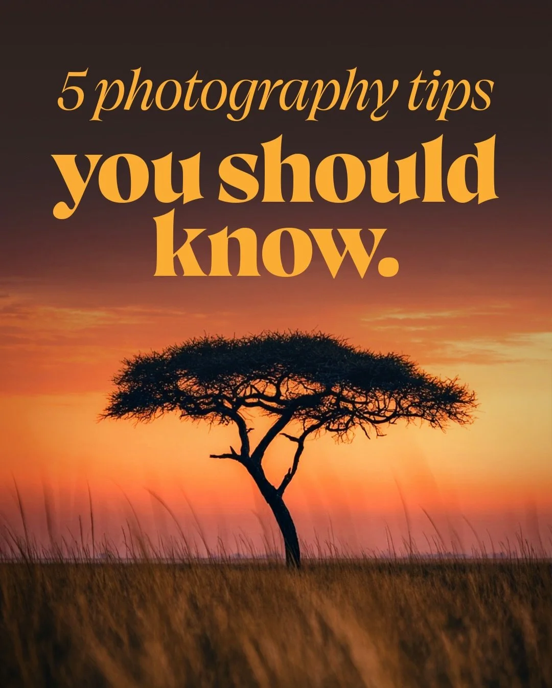 📸 5 Photography Tips to Instantly Improve Your Shots

Sometimes it&rsquo;s not about new gear or complicated techniques &mdash; it&rsquo;s the small fundamentals that make the biggest difference. These five tips focus on light, composition, and inte