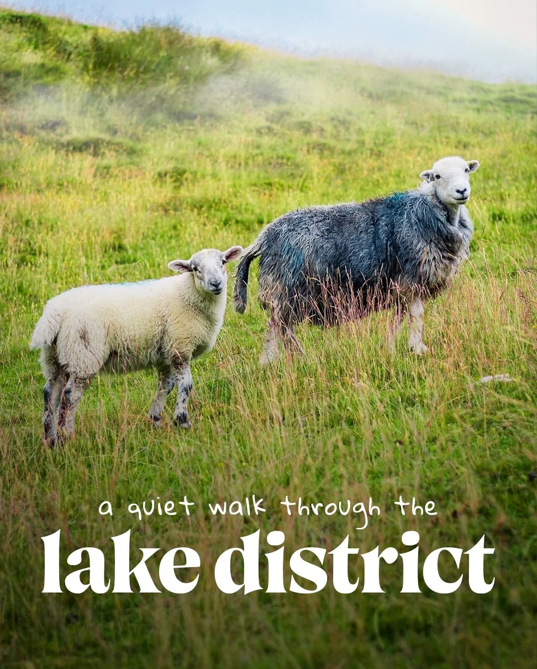 🌿 A quiet walk through the Lake District.

Just me, the paths, the trees, and that soft stillness you only find when you slow down and look around. These moments didn&rsquo;t need anything dramatic &mdash; just light, space, and time to wander.

Som