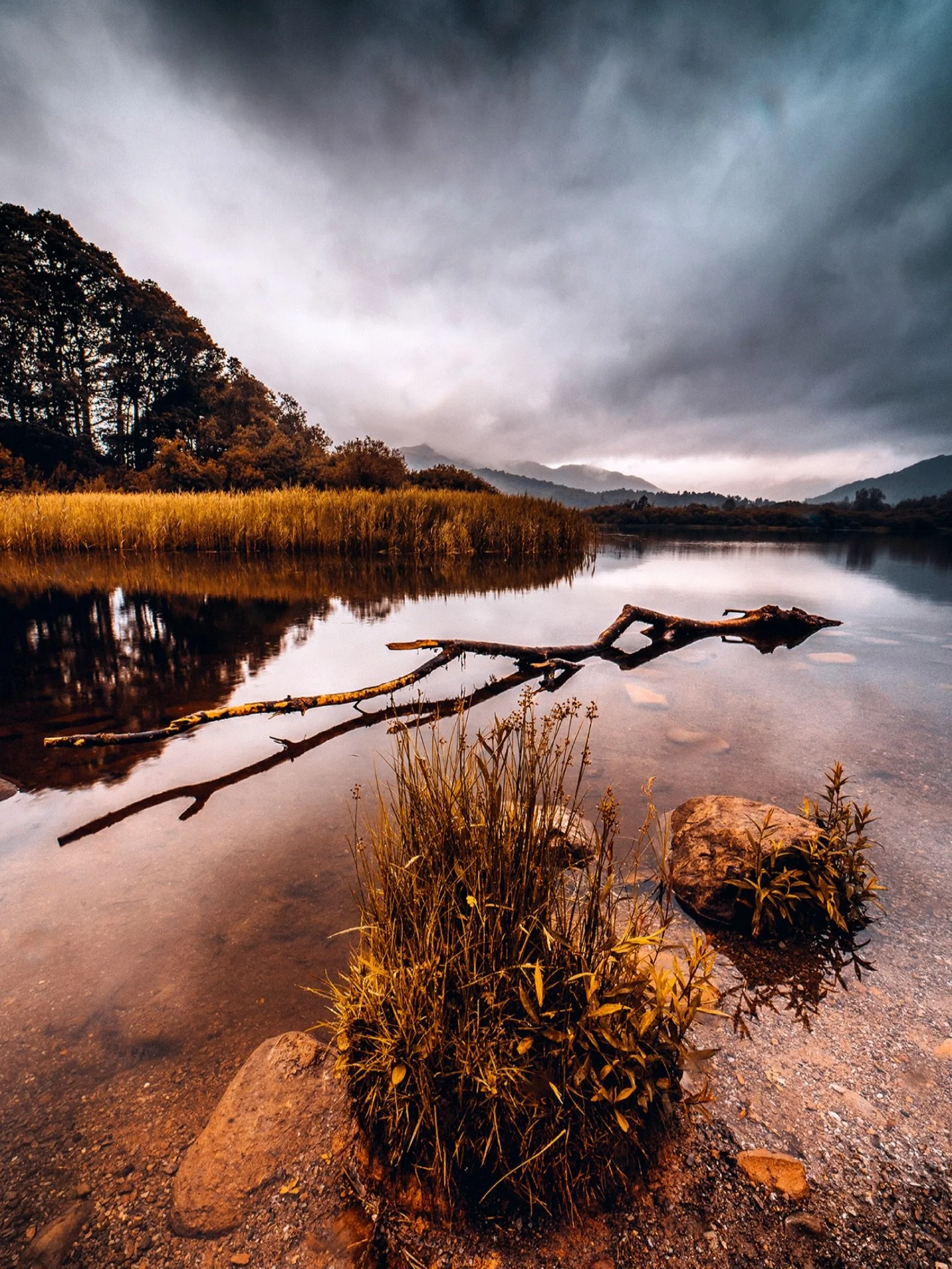 🍂 Moody moments in the Lake District.

Muted browns, soft light, and still water, sometimes the quieter colour palettes tell the strongest stories. This scene felt calm, grounded, and timeless, like the landscape was holding its breath.

Not every m