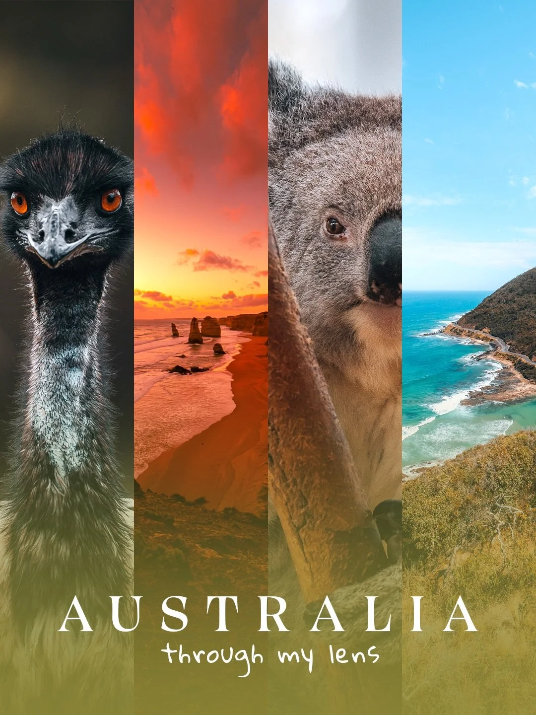 🇦🇺 Australia through my lens.

A collection of some of my favourite moments &mdash; from quiet encounters with wildlife to golden sunsets, endless beaches, and landscapes that don&rsquo;t quite feel real until you&rsquo;re standing there.

Koalas i