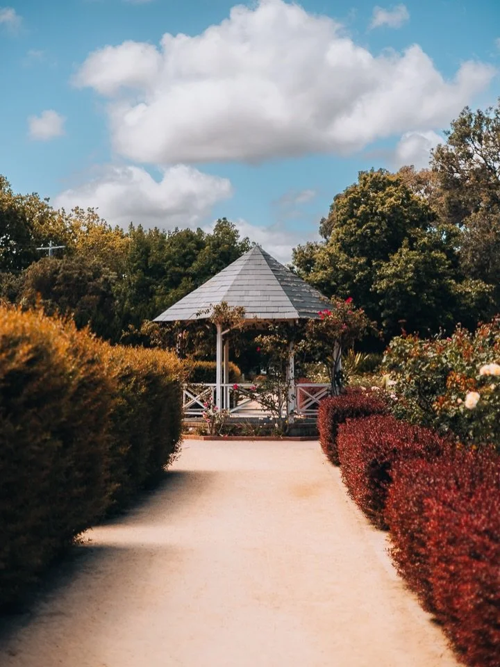🌿 A quiet wander through St Kilda Botanical Gardens.

Hidden away from the busy streets, this place felt calm, colourful, and full of little details worth slowing down for. Flowers catching the light, peaceful pathways, and that soft atmosphere that