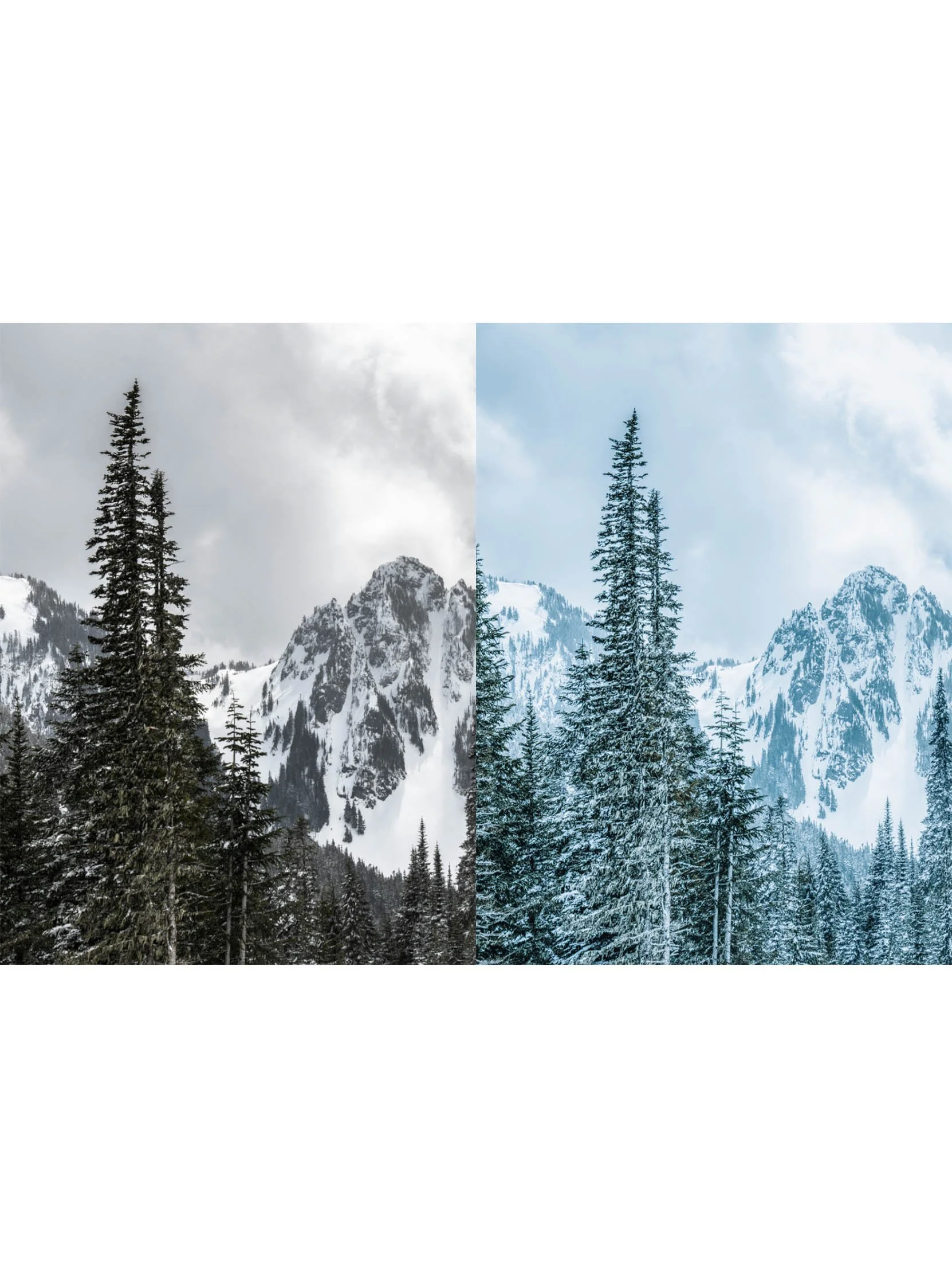 preset-shop-18.jpg