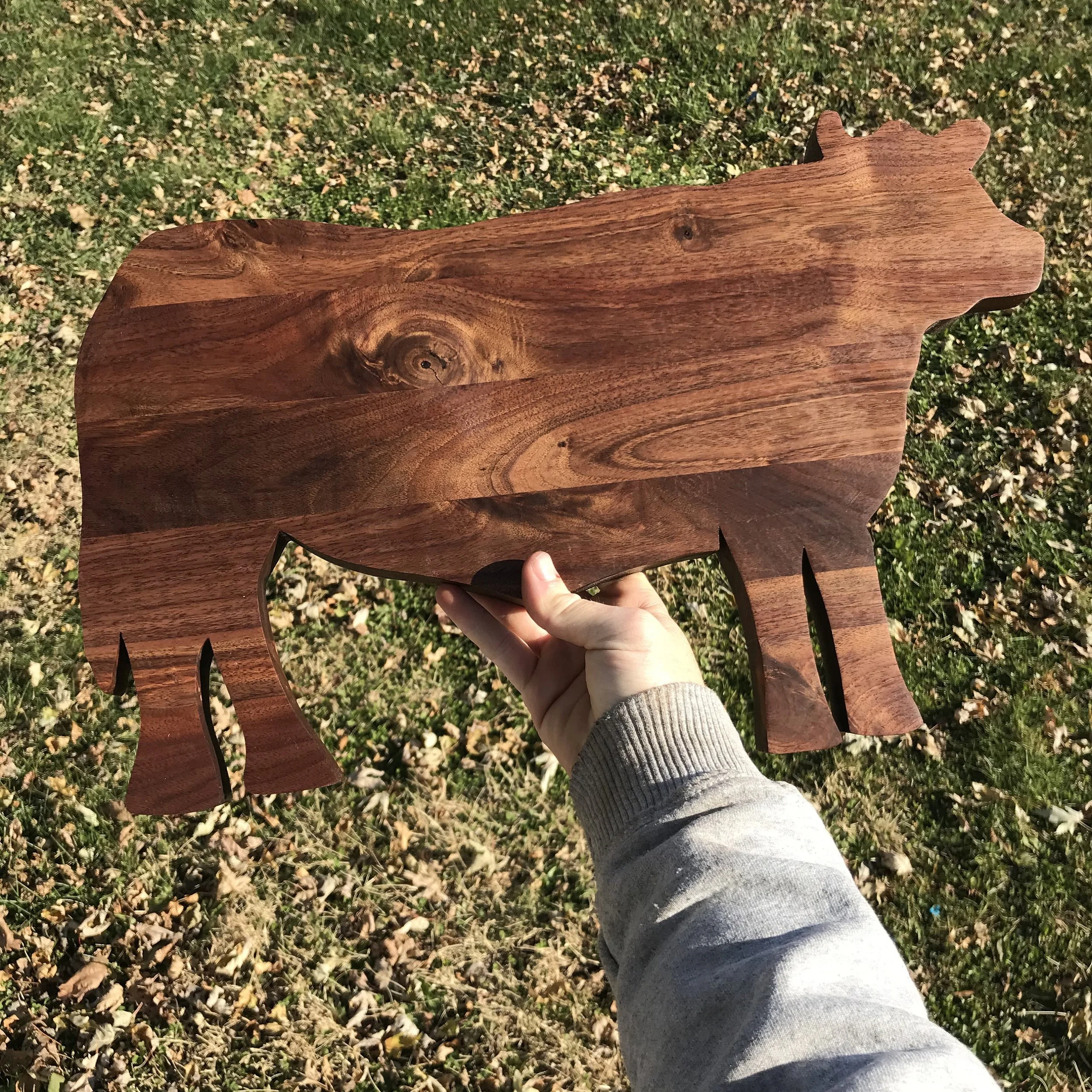 https://i.etsystatic.com/14243064/r/il/62a8ad/2130011567/il_fullxfull.2130011567_t2uc.jpg