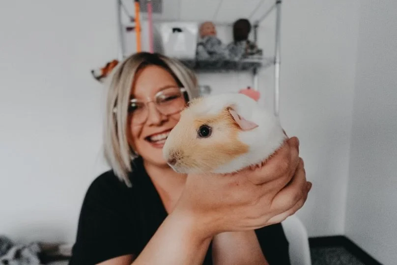 Learned all about guinea pigs and how to keep them as pets