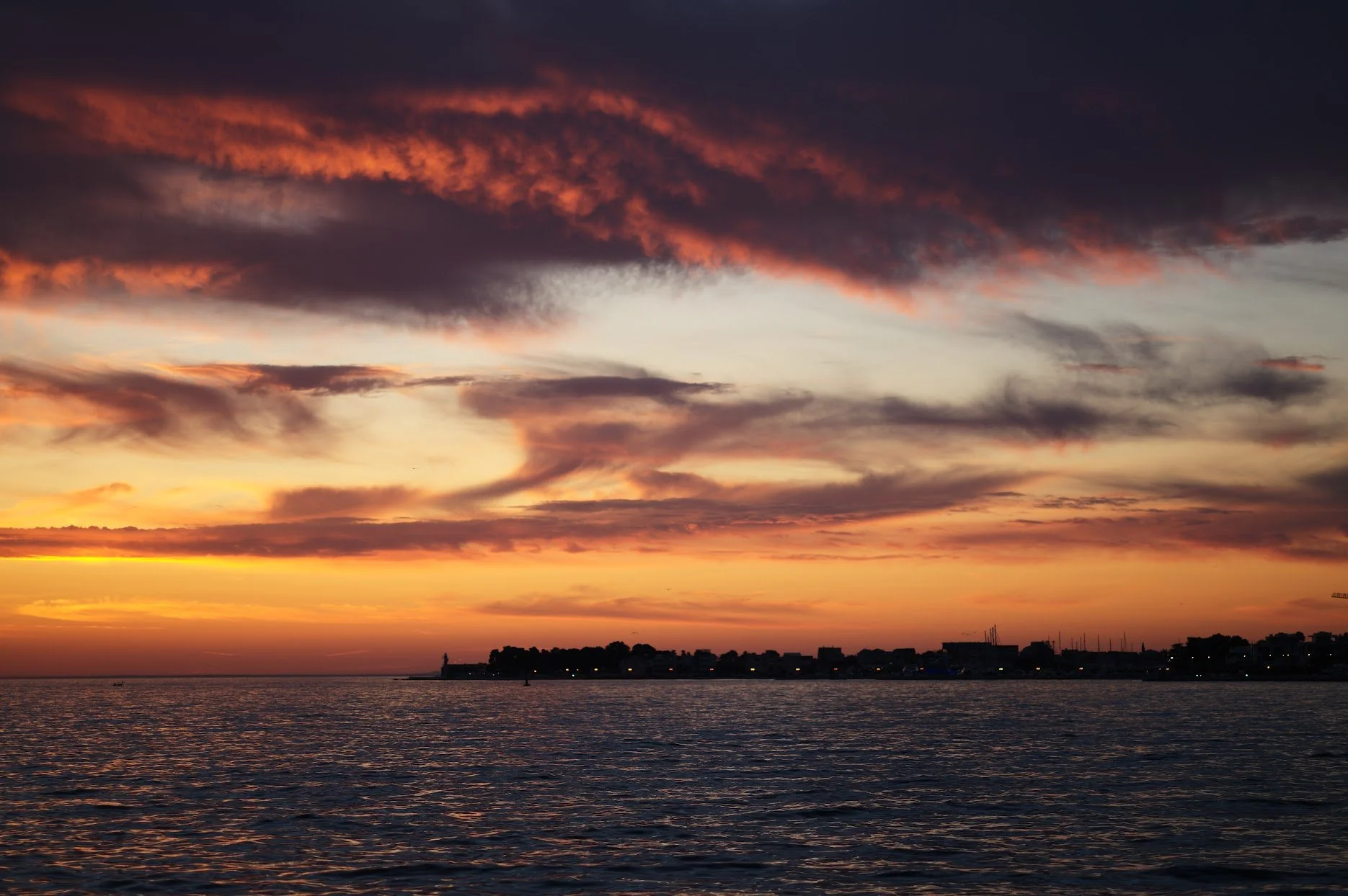 L1006532.jpg
